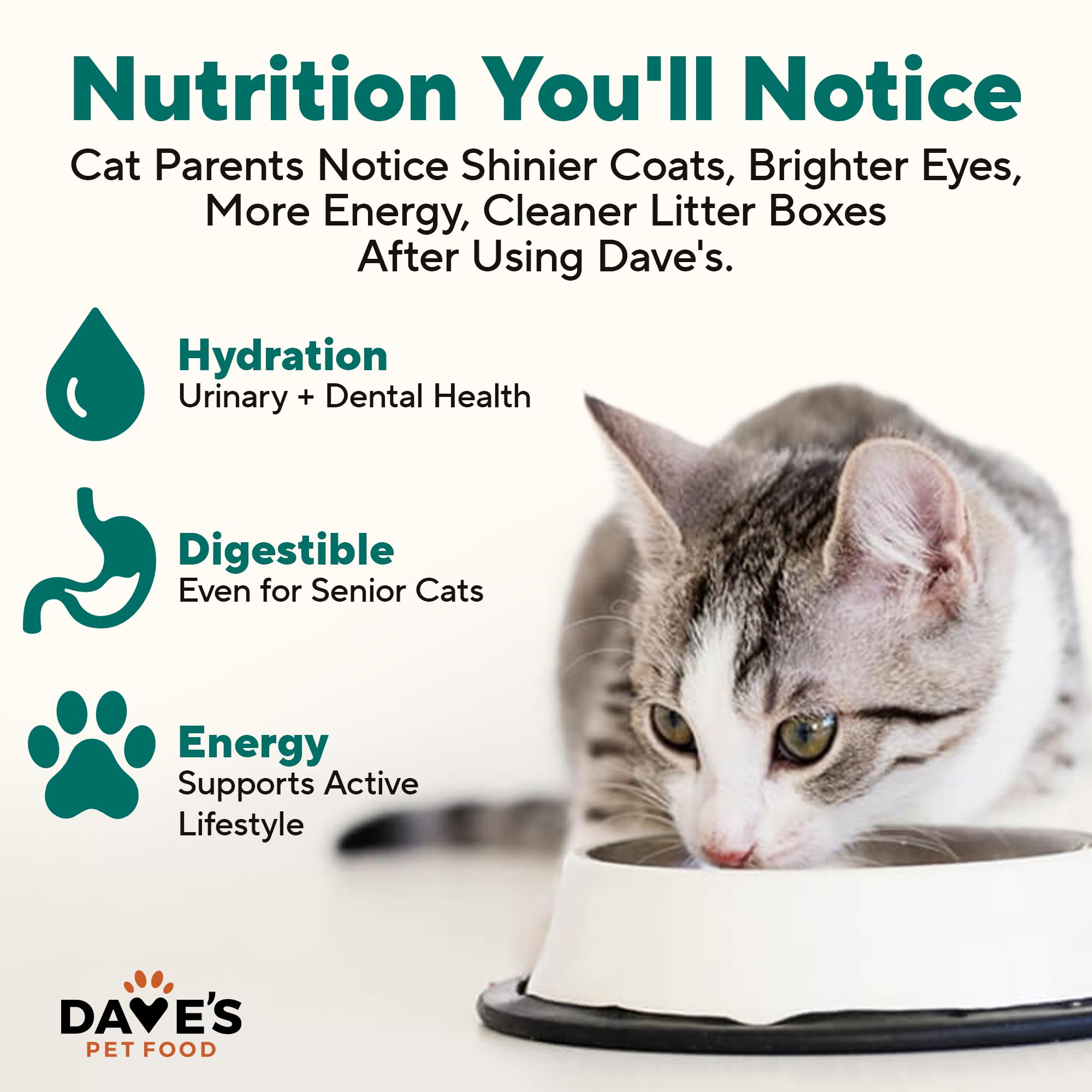 Daves Pet Food Grain Free Canned Cat Food (Turkey & Giblets Pate), Made in USA Naturally Healthy Canned, Canned Pate, 12.5 oz C