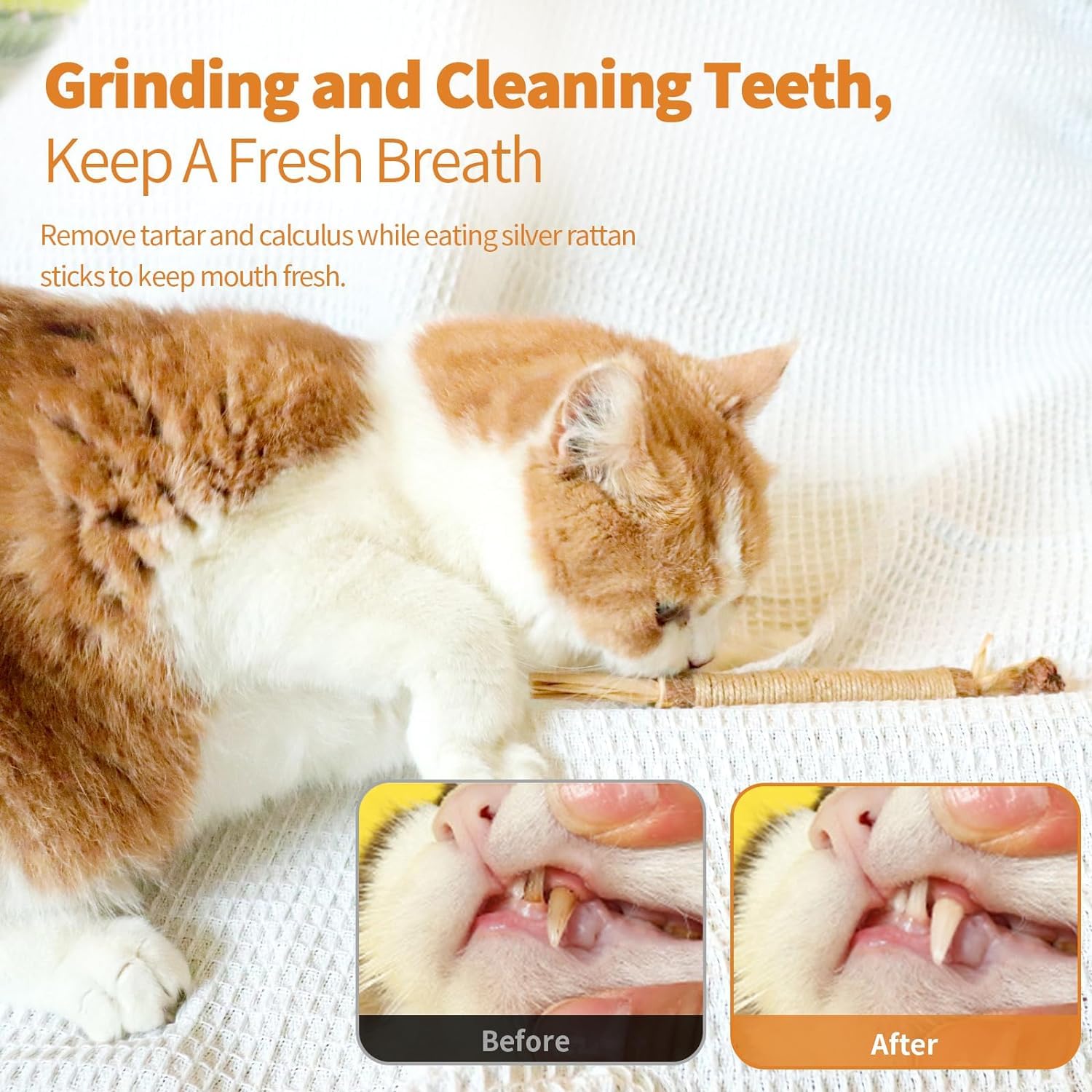 LOVELY CAVES Cat Silvervine Sticks Chew Toys, Natural Chew Stick Toy, Catnip Toys Teeth Cleaning, Matatabi Cat Treat, Edible Kit