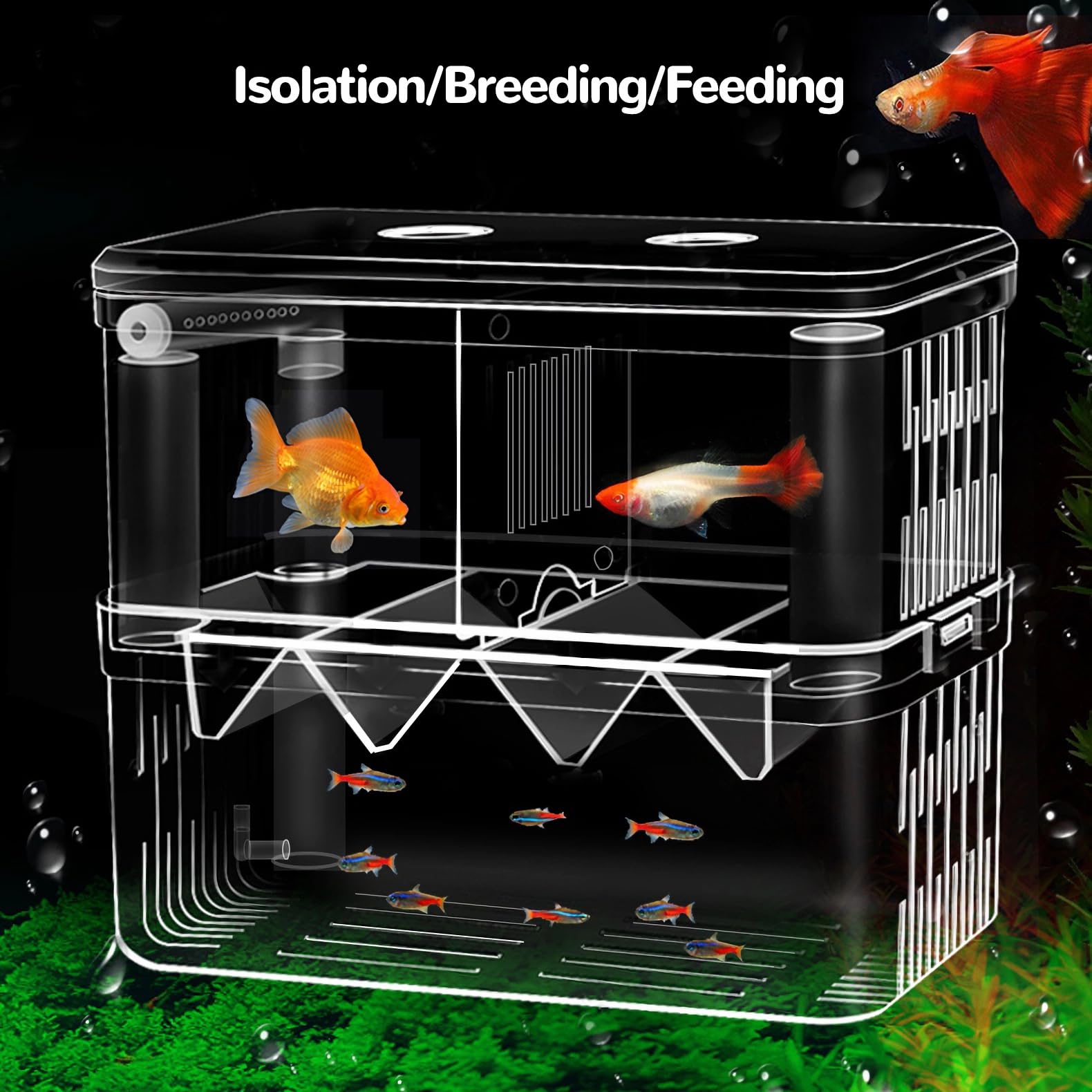 J-star Large Clear Acrylic Fish Breeder Box - Ideal for Betta, Guppy, Killifish, Shrimp, and Clownfish Isolation