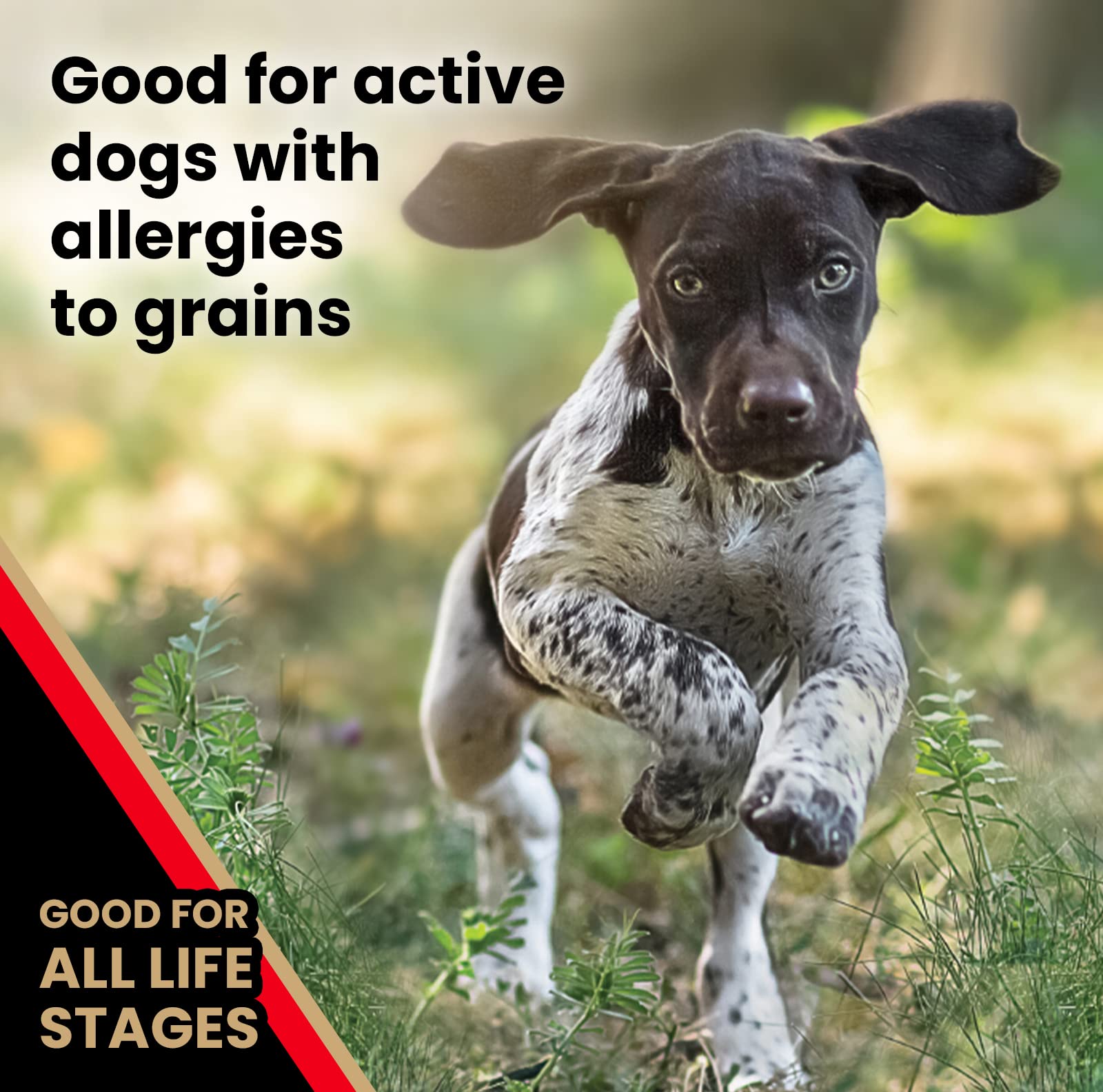 Victor Super Premium Dog Food - Grain Free Active Dog & Puppy - Dry Dog Food with 33% Protein, Gluten Free - for High Energy Dog