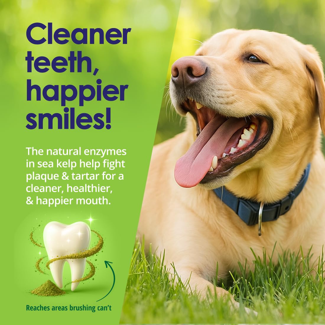 Dog Teeth Cleaning Powder, Dog Plaque and Tartar Remover, Bad Breath Treatment for Dogs with USDA Organic Sea Kelp Powder, Dog D