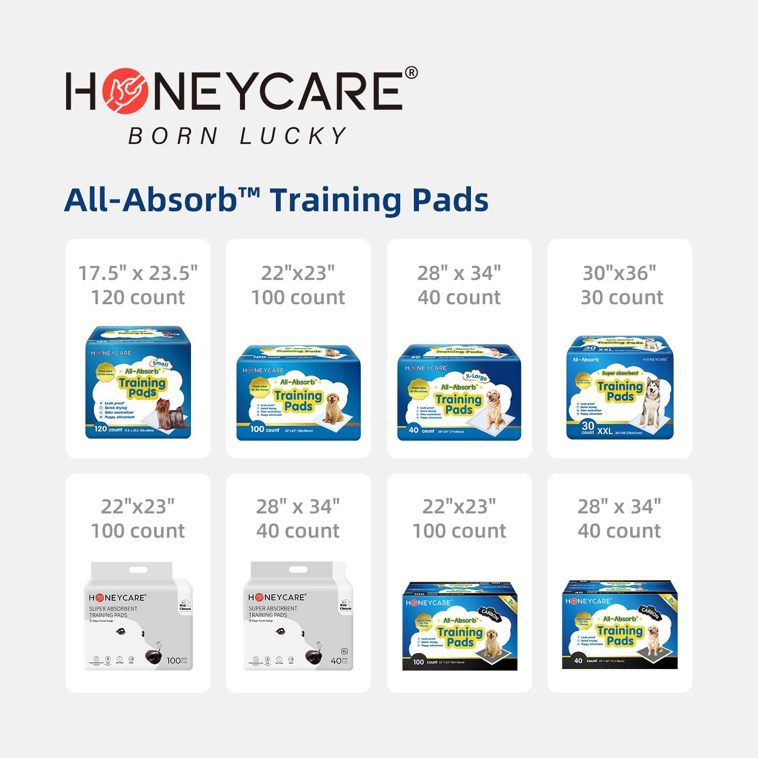 HONEY CARE All-Absorb A07 Bulk Packaging Training Pads, Blue, Large - 22 x 23 200ct