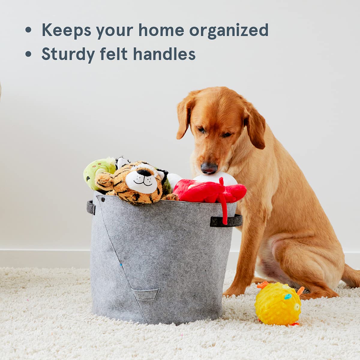 Barkbox Felt Storage Bin for Dog Toys - Standard Size 12" x 13" - Durable Organizer for Leashes, Collars, and More