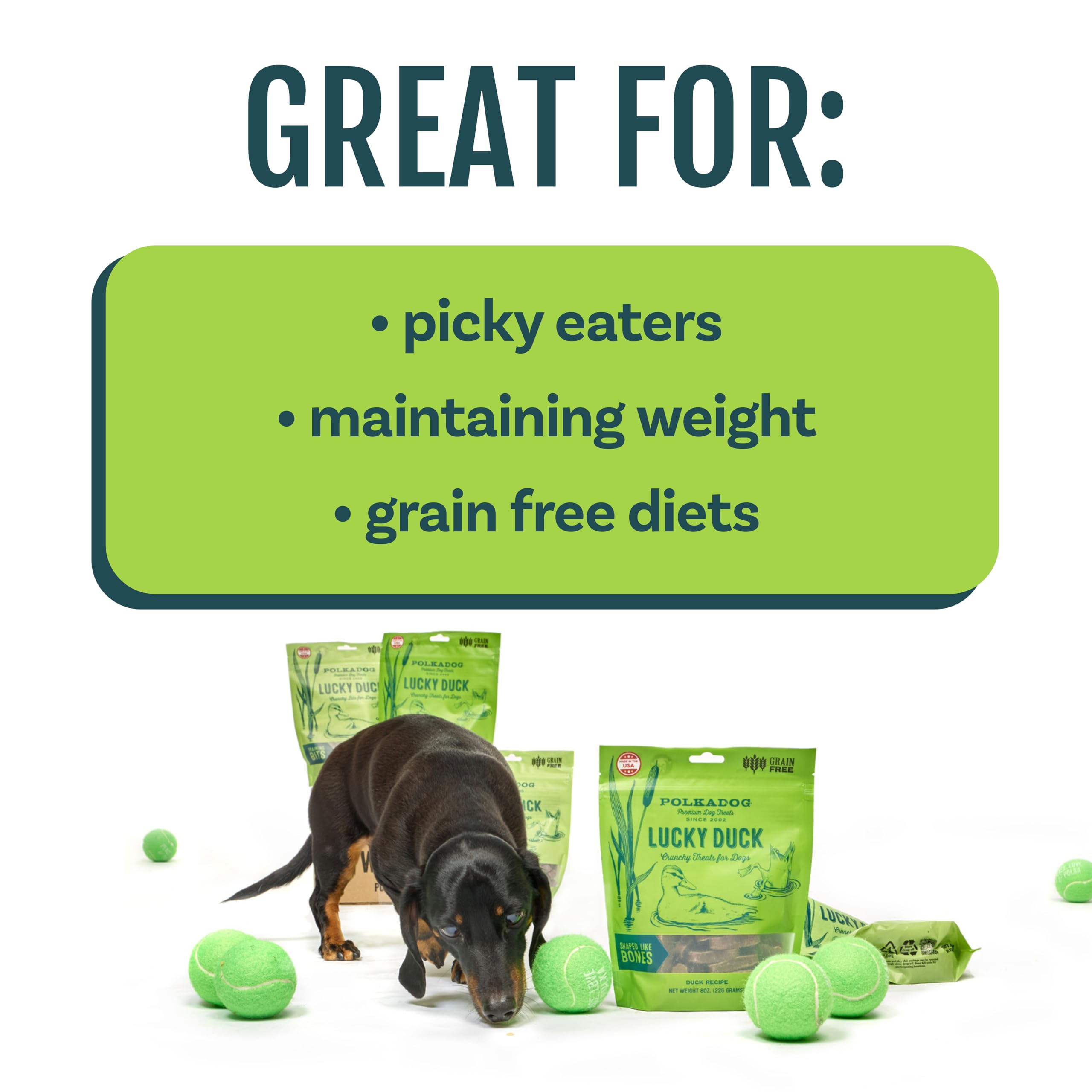 Polkadog Lucky Duck Bone-Shaped Dog Treats, Cat Snacks - All-Natural Pet Treats for Kittens, Puppies - Bite-Sized, Crunchy Snack