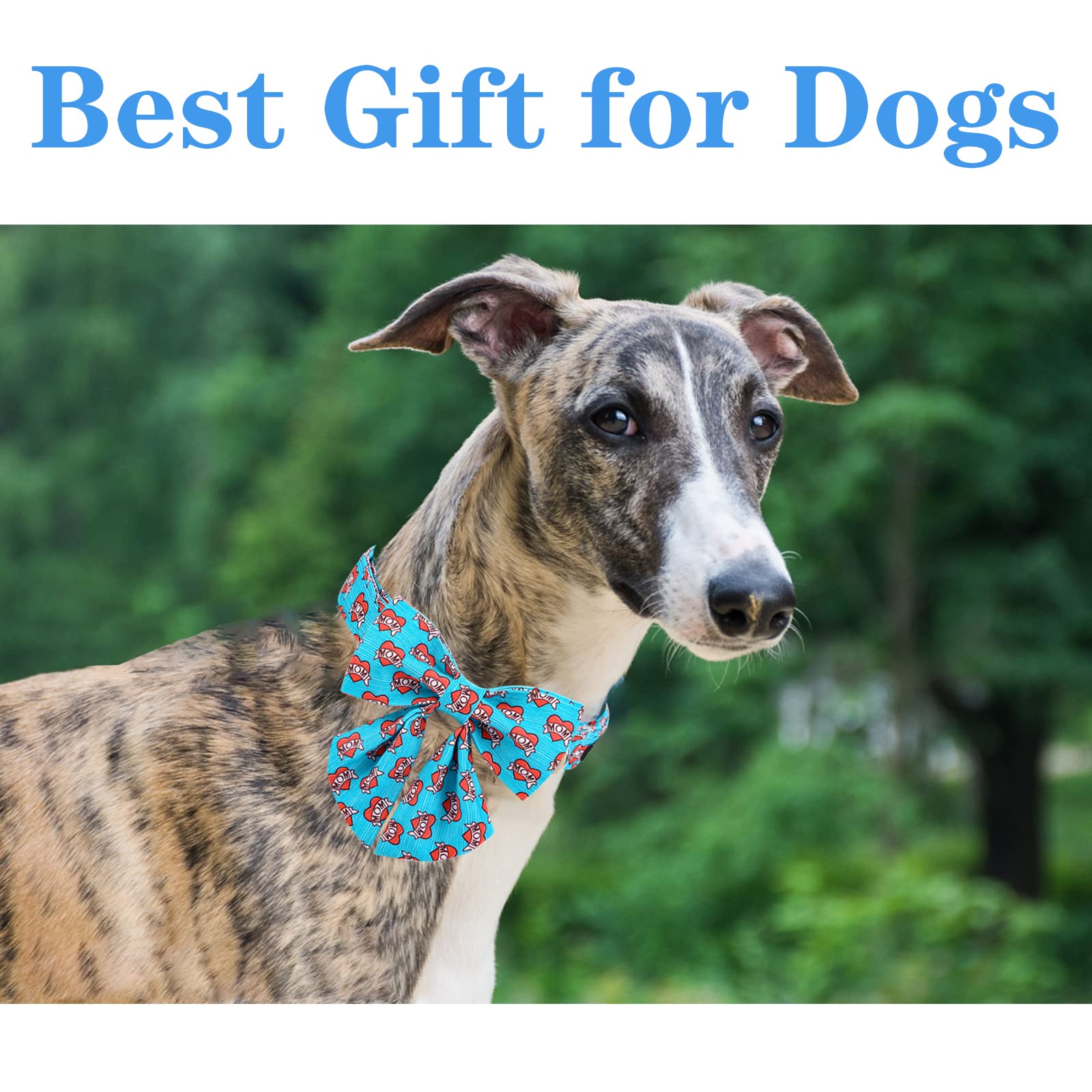 Unique Style Paws Mother'S Day Dog Collar With Tie Blue Heart Puppy Collar Best Gift For Small Medium Large Boys Girls-Xl