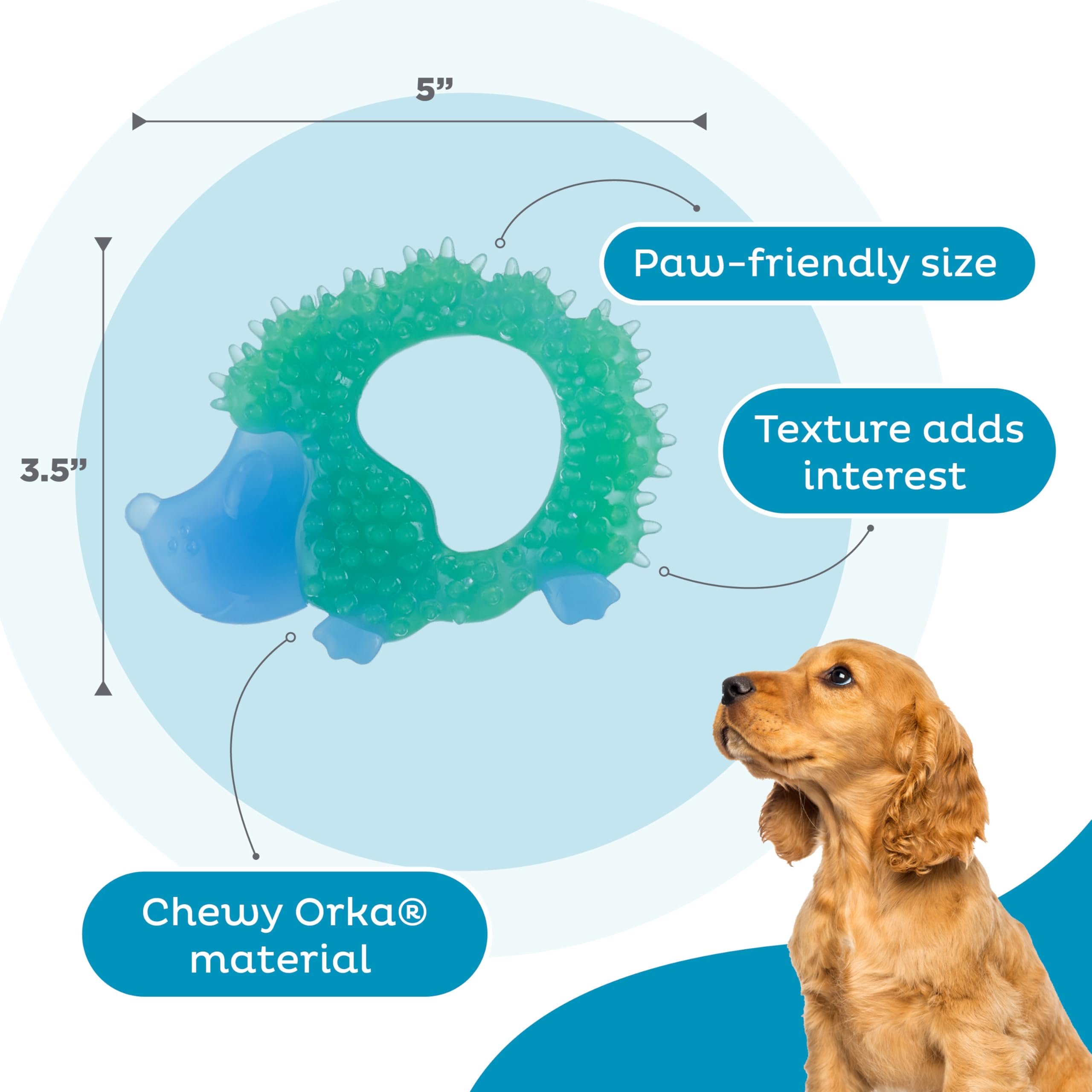 Outward Hound Cutie Chewies Hedgehog Dental Dog Chew Toy, Blue