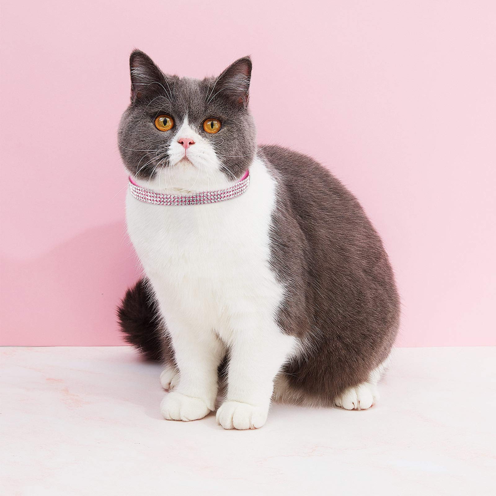 Weewooday 4 Pieces Rhinestones Cat Collars Breakaway Cat Collar With Bell Bling Pet Accessories With Soft Velvet, 4 Colors(Xs,Light Green, Light Blue, Light Purple, Rose Red)