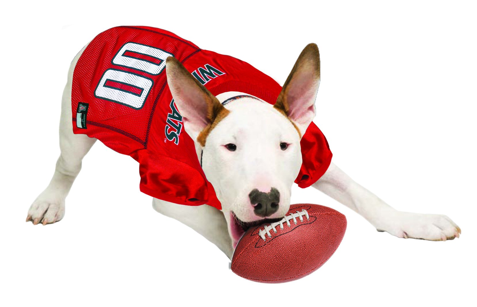 Pets First NCAA College Arizona Wildcats Mesh Jersey for DOGS & CATS, X-Small. Licensed Dog Jersey with your Favorite Football/B