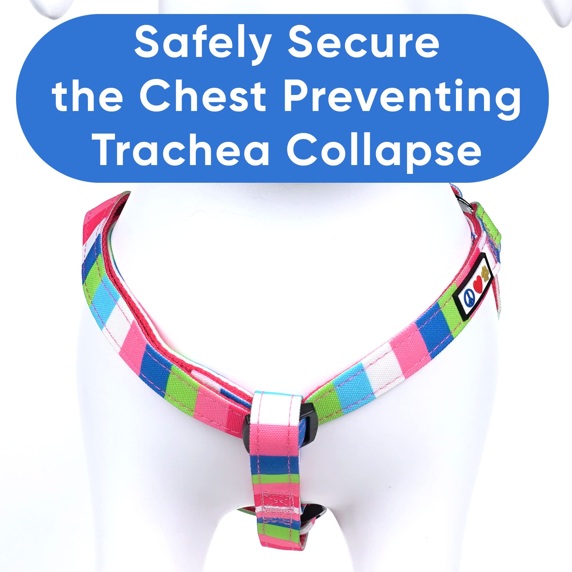 Pawtitas Pet Adjustable Solid Color Step In Puppy/Dog Harness 6 Feet Matching Collar And Harness Sold Separately Small Pink/Blue