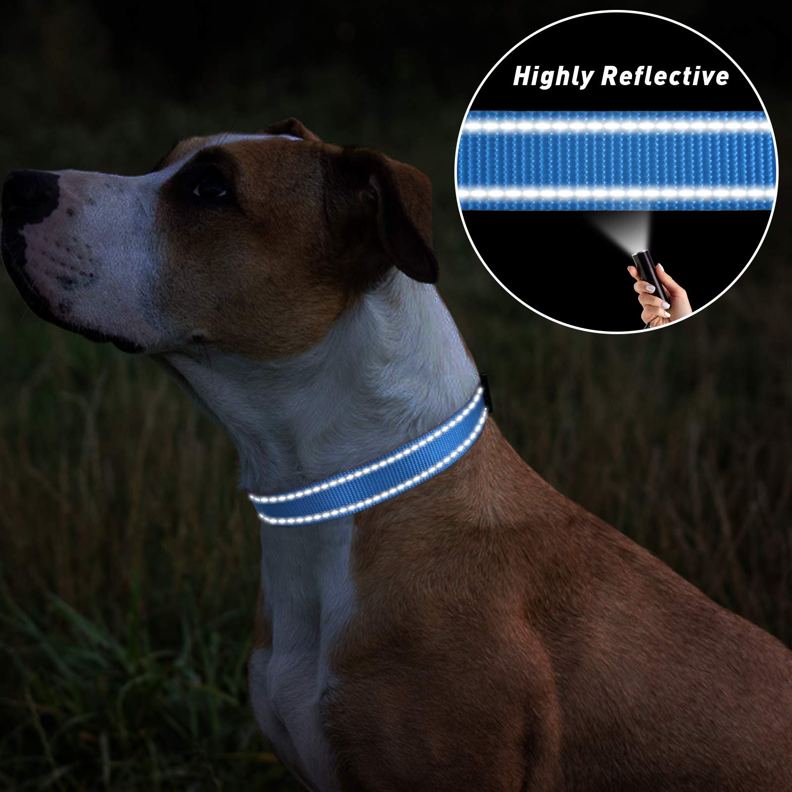 Tagme Reflective Nylon Dog Collars, Adjustable Classic Dog Collar With Quick Release Buckle For Extra Large Dogs, Sky Blue, 1''