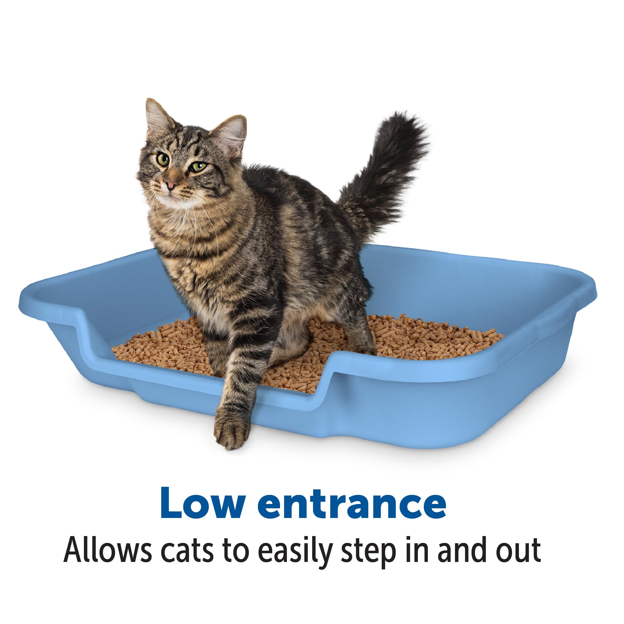 Kittygohere Senior Cat Litter Box 1 Pack, Large Blue Low Entrance Kitty Litter Box, Sized For Cats Comfort, Perfect For Senior And Arthritic Cats, Made In Usa