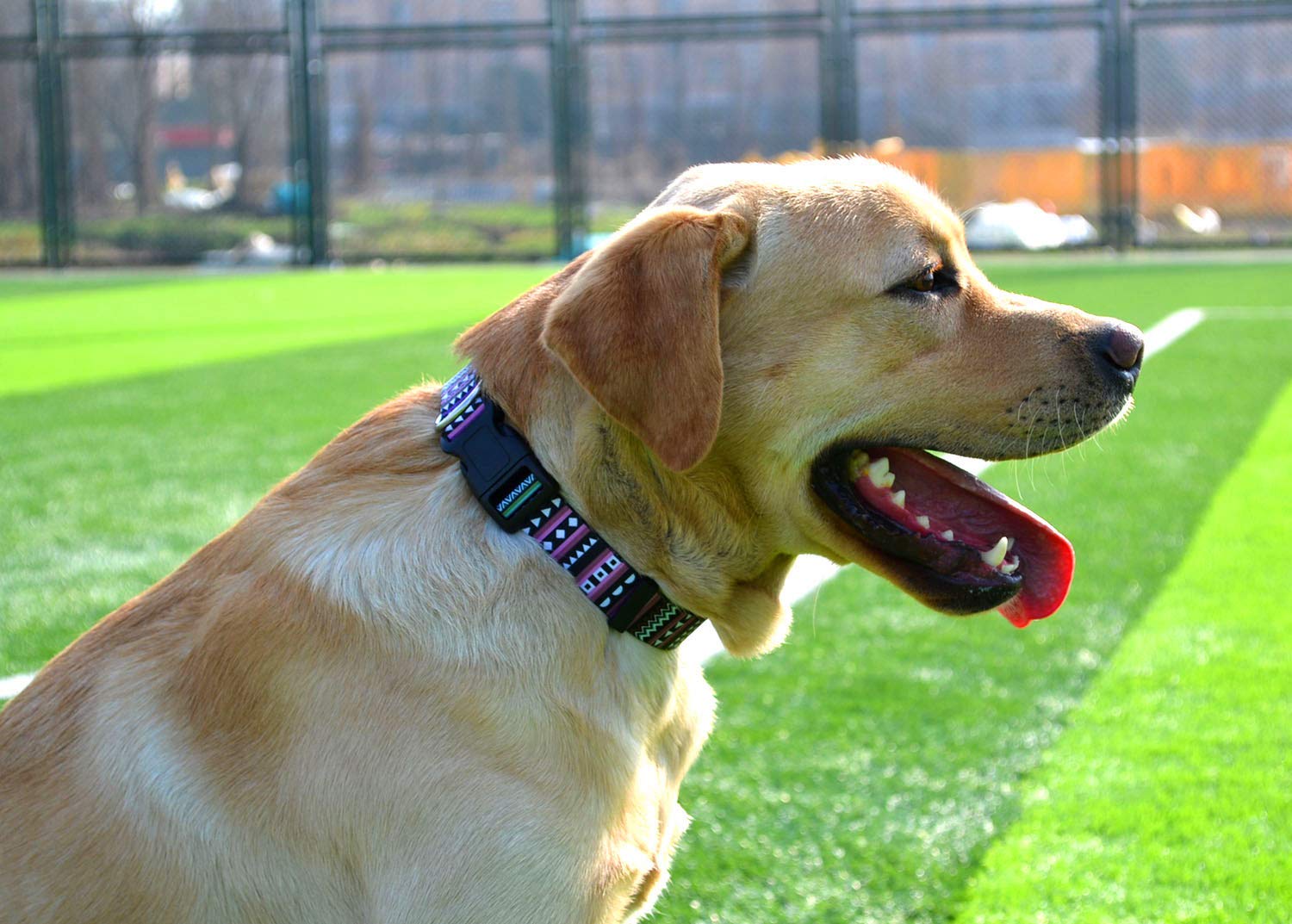 Mihqy Dog Collar With Bohemia Floral Tribal Geometric Patterns - Soft Ethnic Style Collar Adjustable For Small Medium Large Dogs(Bohemian Purple,S)