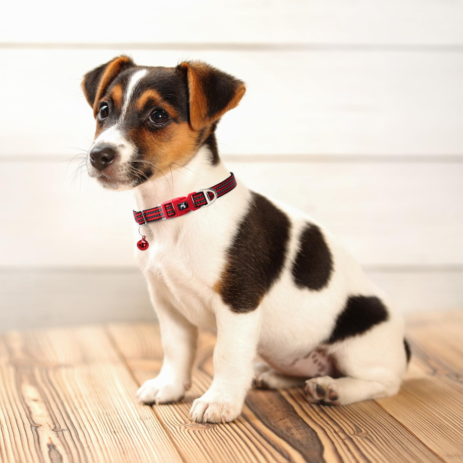 Puppy Collar With Bell - Reflective Adjustable Nylon Dog Collar For Small Dogs, Night Safety Collar For Chihuahua, Pomeranian -R
