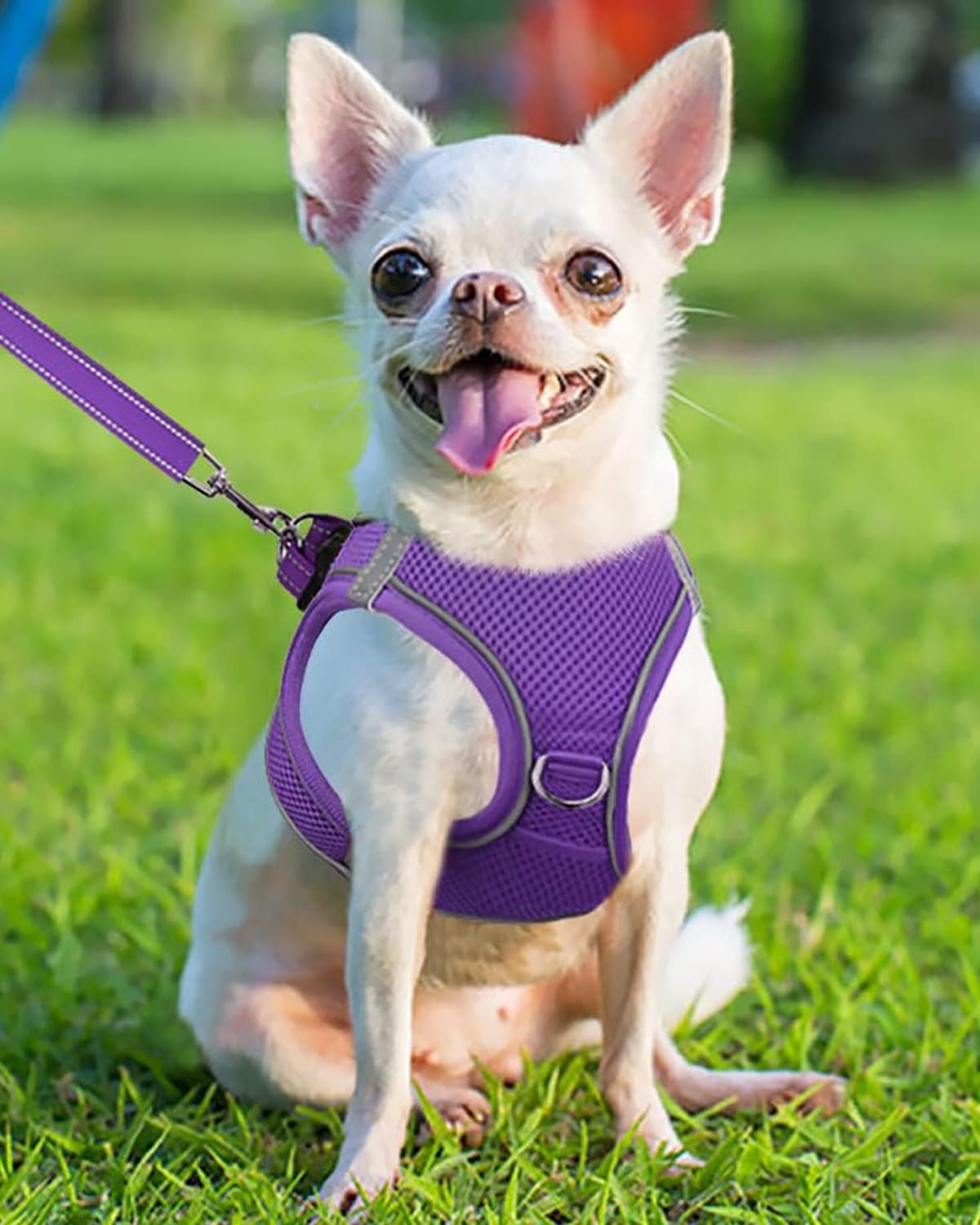 Joytale Small Dog Harness, Breathable Mesh Step-In Vest, Reflective Soft Padded Harnesses For Puppies And Extra Small Dogs, Purp