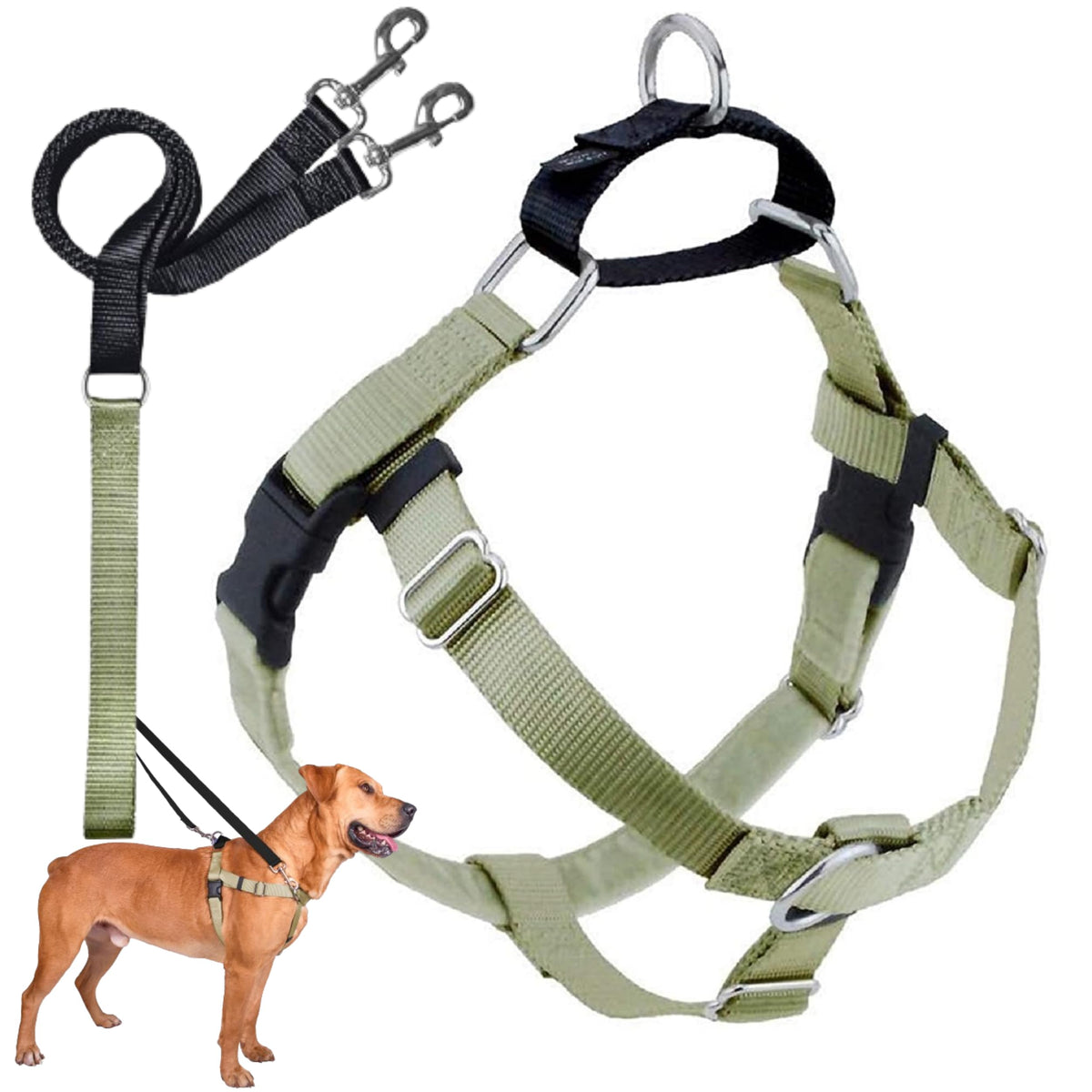 2 Hounds Design Freedom No Pull Dog Harness | Comfortable Control For Easy Walking |Adjustable Dog Harness And Leash Set | Small