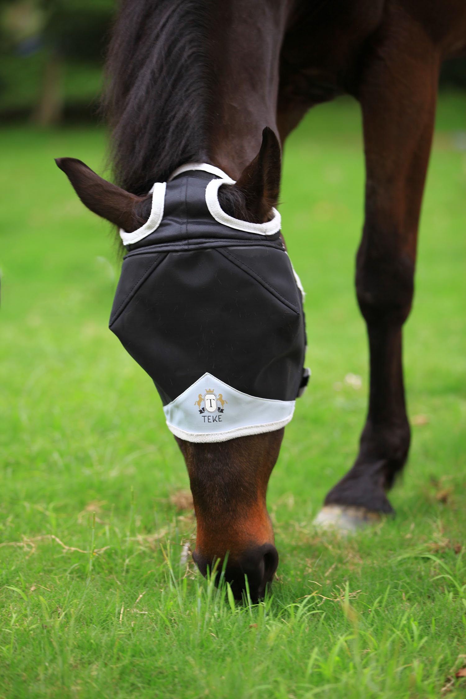 T TEKE Fine Mesh Horse Fly Mask w/No Ears, UV Blocking 3D Eye Visor with Extra Fleece Cushioned Forehead, Protection from Insect