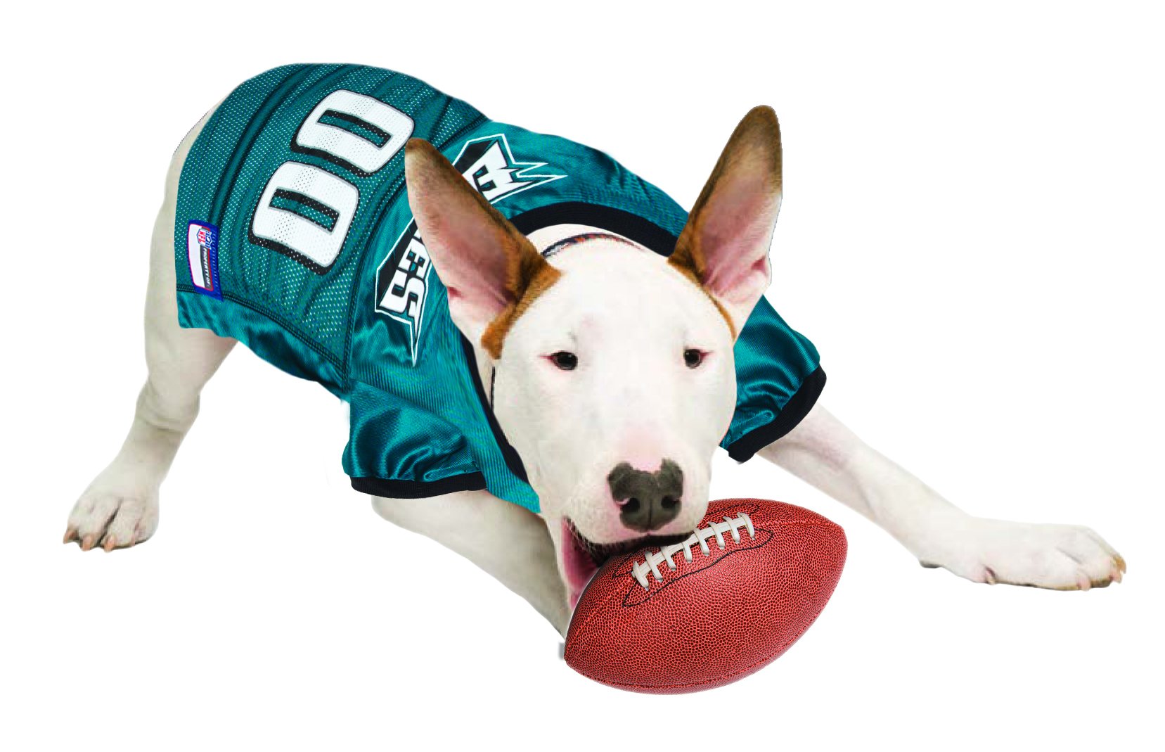 Pets First Nfl Philadelphia Eagles Dog Jersey, Medium, Poly-Mesh And Satin, Officially Licensed
