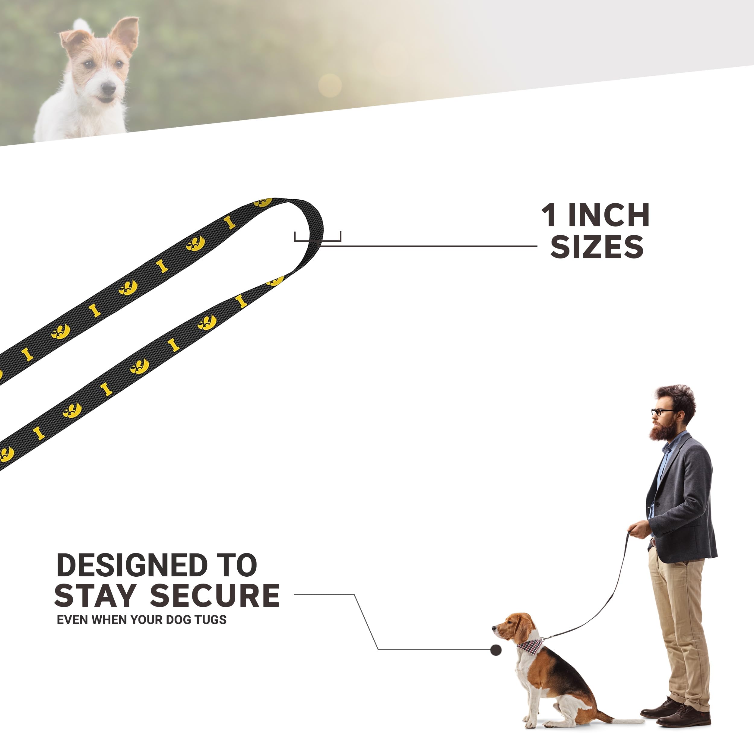 Moose Pet Wear Dog Leash - University of Iowa Hawkeyes Pet Leash, 1 Inch Wide x 6 Feet Long, Hawk on Carbon Fiber