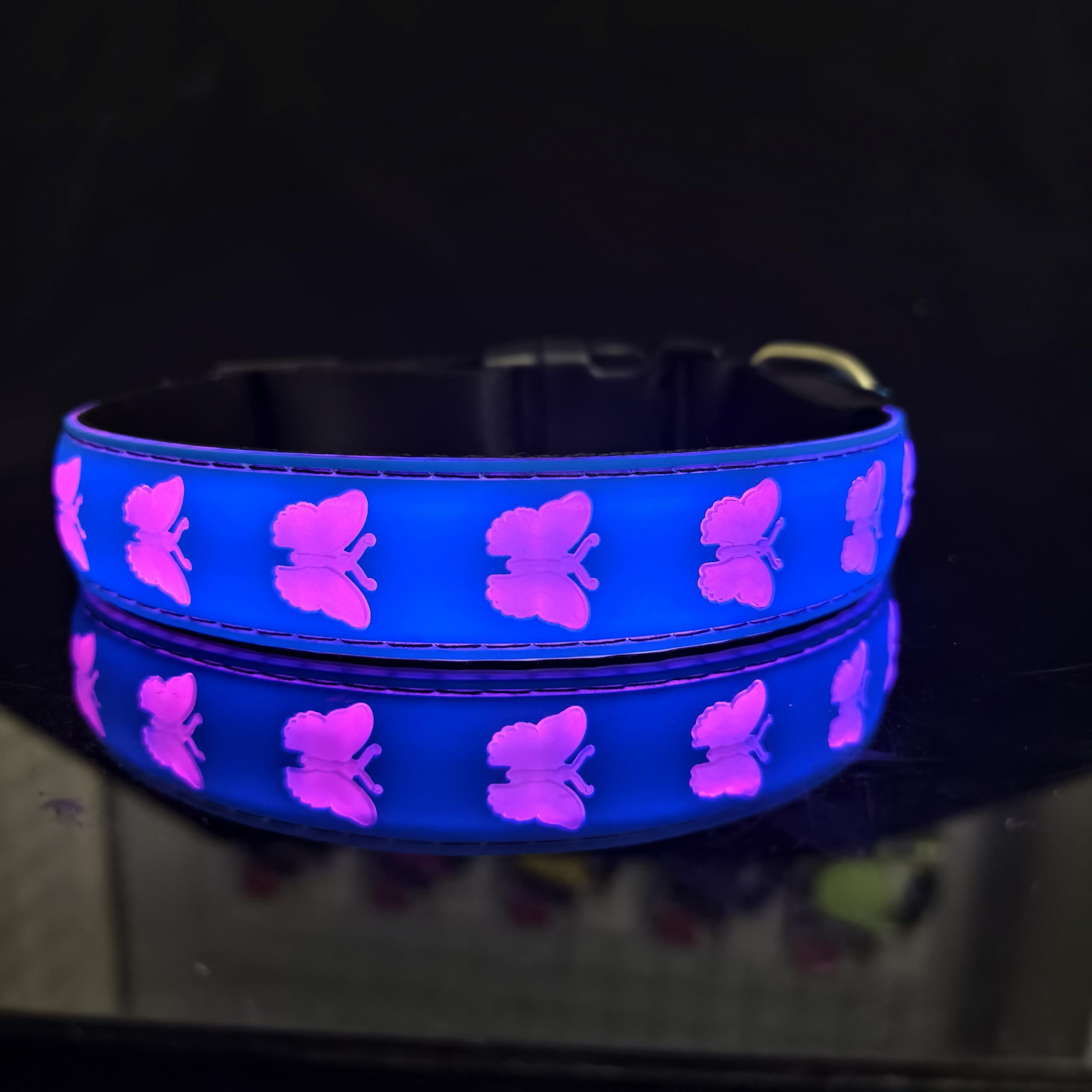 Dogled Usb-C Led Light Up Dog Collar, 3D Design Comfortable And Soft Material,Multicolored Lighting,Night Dog Collar (Bt-Blue, X