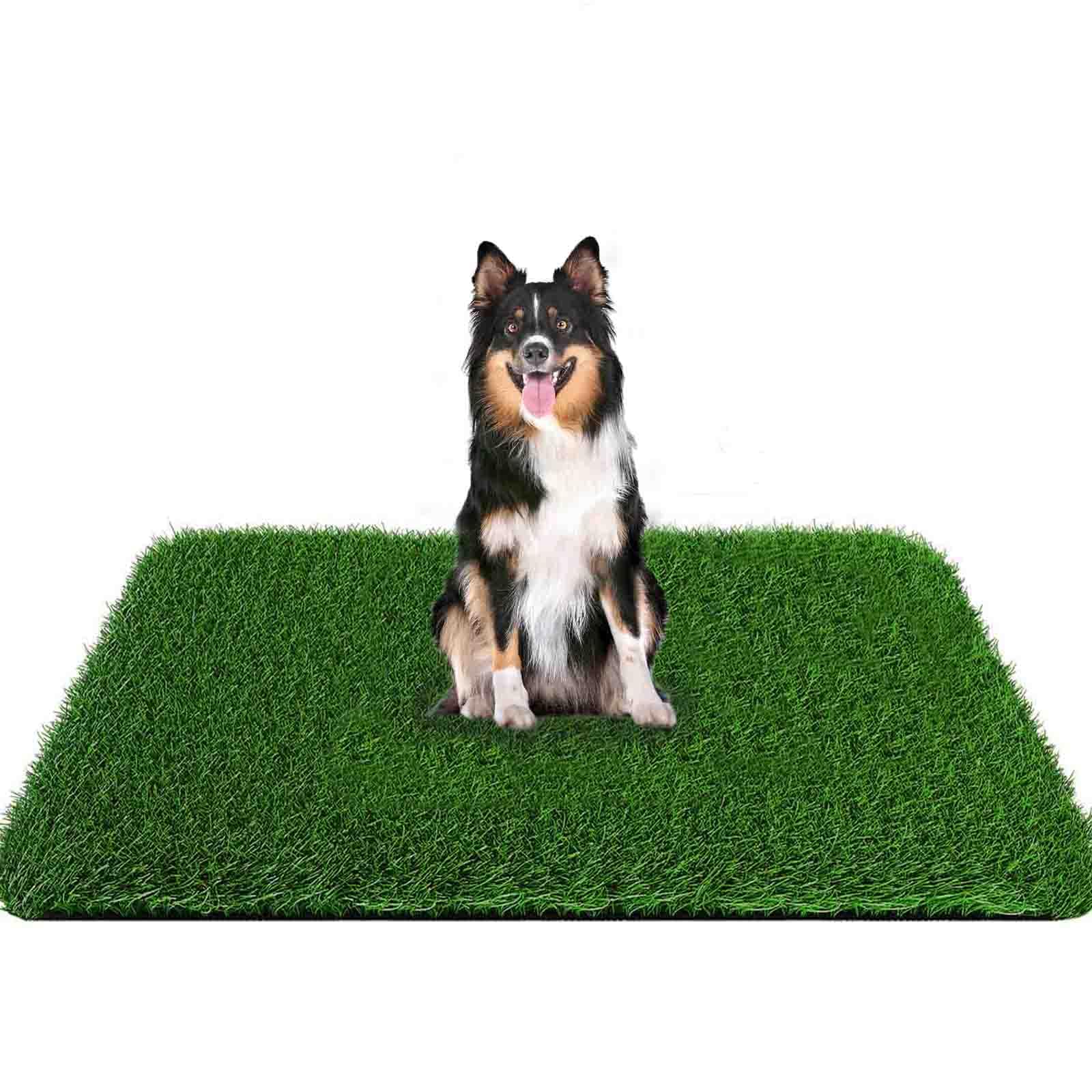 Grass Pad For Dogs 59.1 X 39.4 Inches, Strong Absorbency Soft And Real Grass For Pets Potty Training, Easy To Clean Fake Grass F