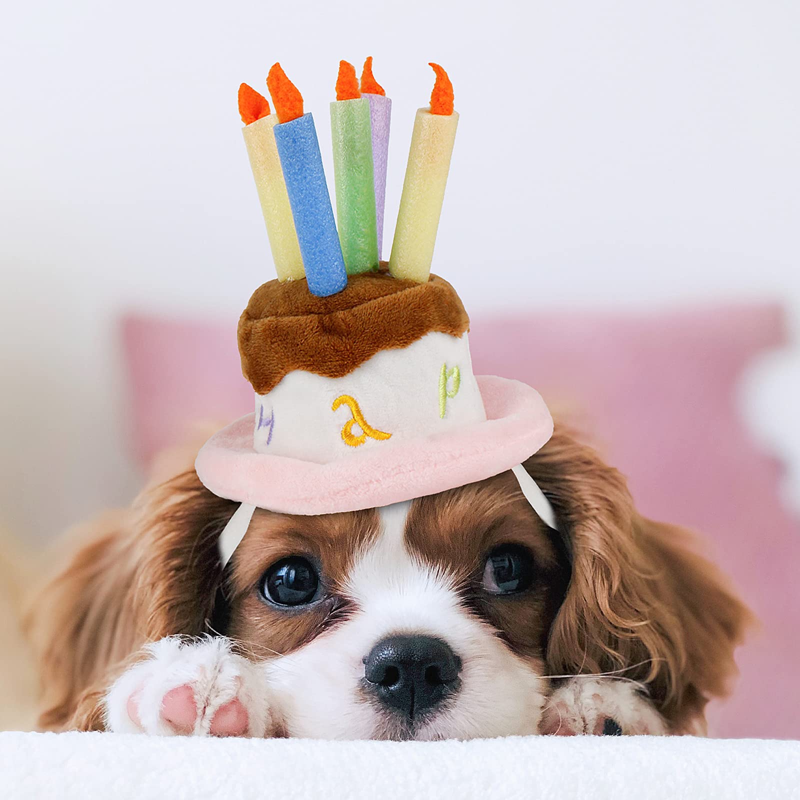 Namsan Cat Birthday Hat, Valentine Hat For Cats Small Dogs, Lucky Cat Birthday Cake Costume, Puppy Party Supplies, Small, Pink