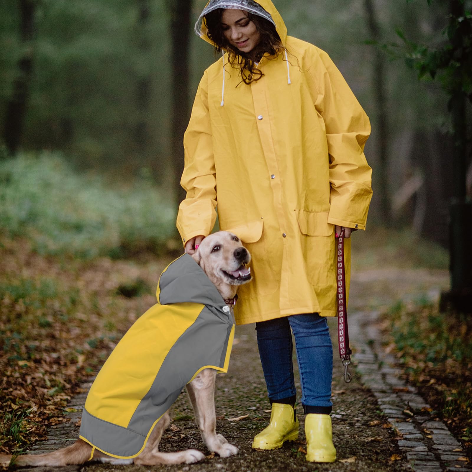 Iecoii Dog Raincoat,Waterproof Rain Jacket For Medium Dogs,Adjustable Pet Rain Coat With Magic Sticker Closure,Reflective Doggy