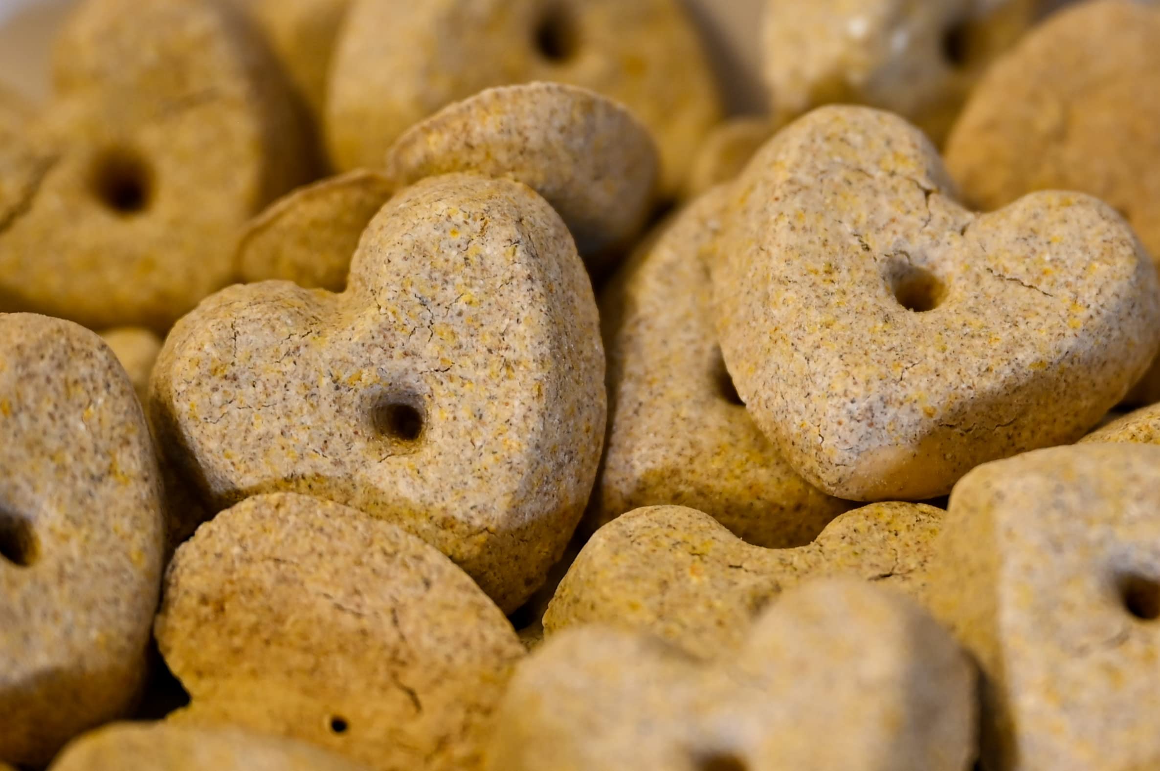 Matties Treats: 1 Pound Box; Low Protein, Low Phosphorus, Low Sodium Dog Treats