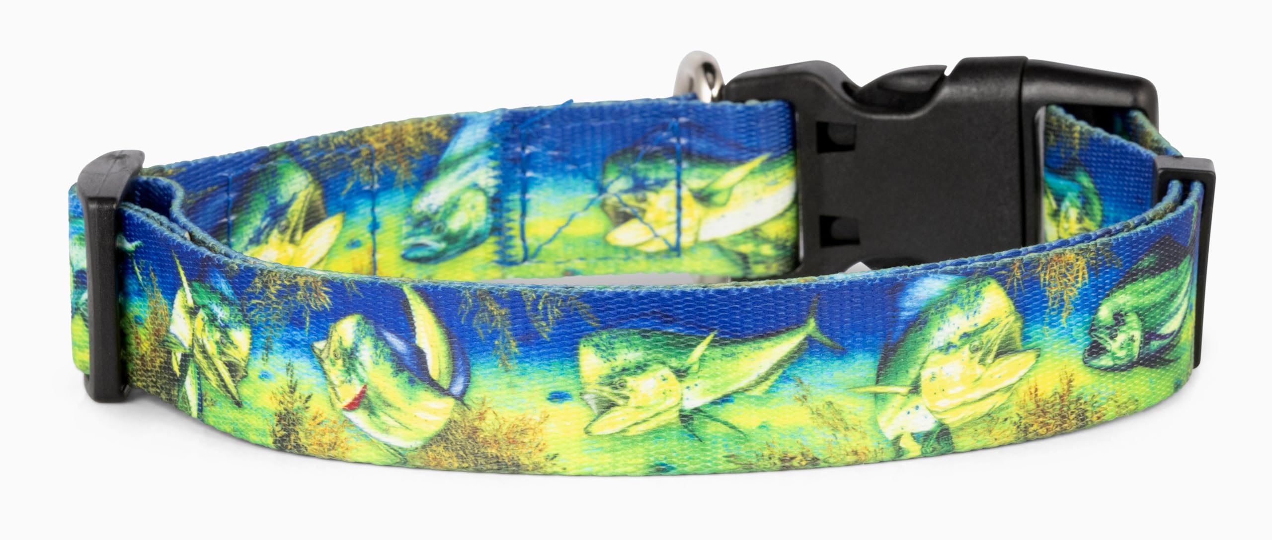 Salty Paws Mahi-Mahi D. Friel Fishing, Beach, Boating, Tropical Dog Collar (Medium Collar Adj. 14-20 For Dogs 25-50 Lbs, Mahi-