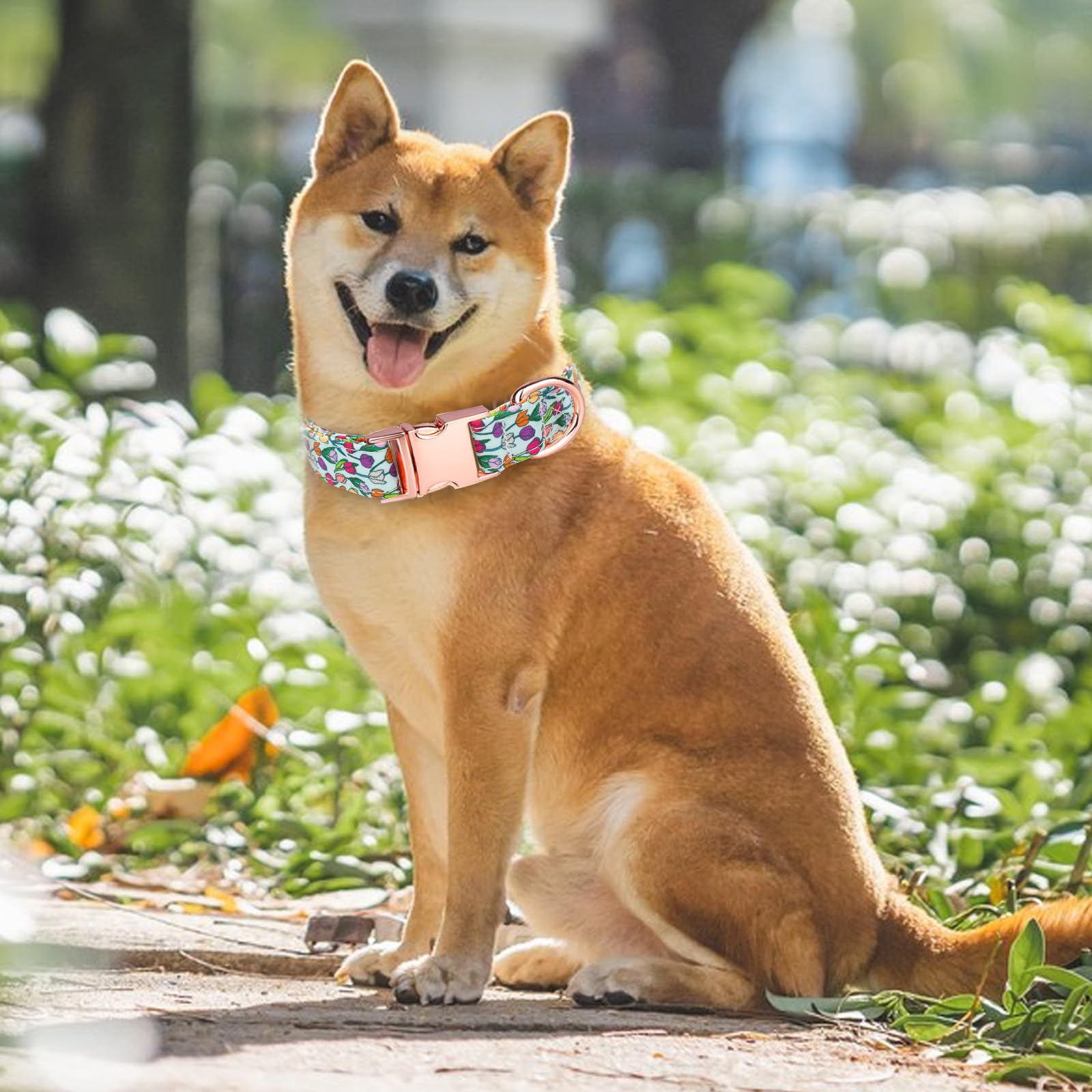 HSIGIO Dog Collar and Leash Set Girls Adjustable Puppy Collars with Floral Bow Tie for Small Medium Large Female Dogs, Tulip, S