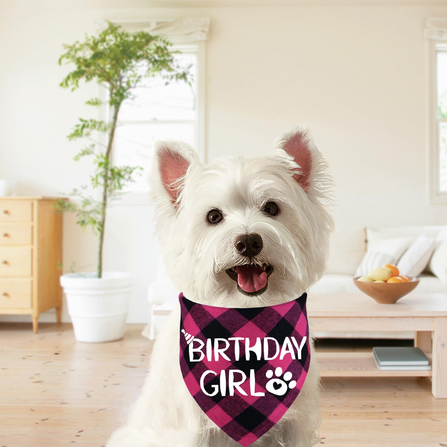 Stmk Dog Birthday Bandana, Multi Sizes Dog Birthday Girl Bandana For Small Medium Large Dogs Pets (Small, Pink)