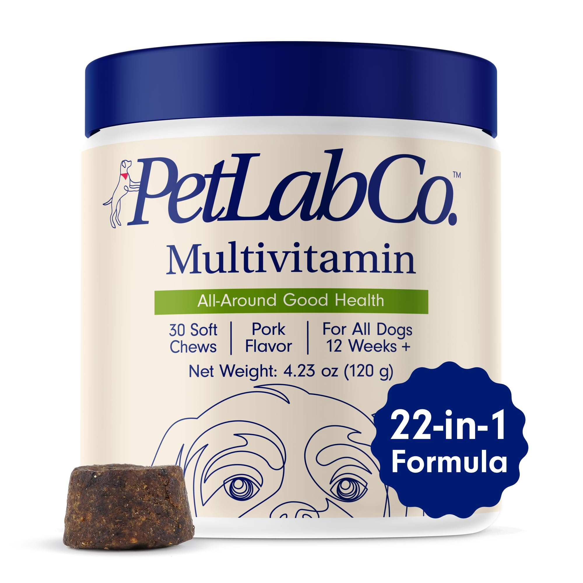 PetLab Co. 22 in 1 Dog Multivitamin  Support Dogs Immune Response, Skin, Coat, Joints & Overall Health  Vitamins A, E, D, B1
