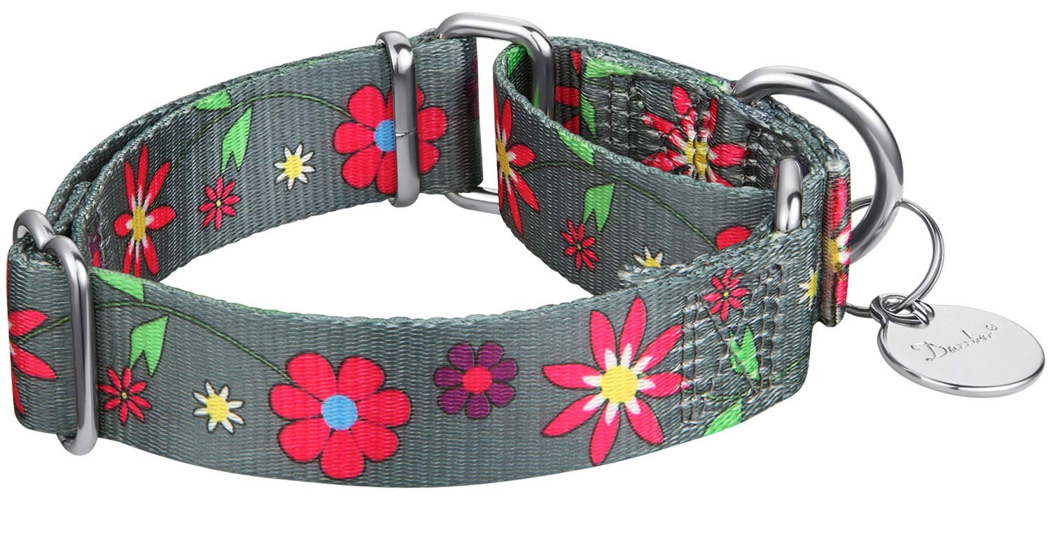 Dazzber Martingale Collar Floral Print Puppy Dog Collar - No Pull Pet Collar, Heavy Duty Adjustable Dog Collar, Small, Neck 10 I
