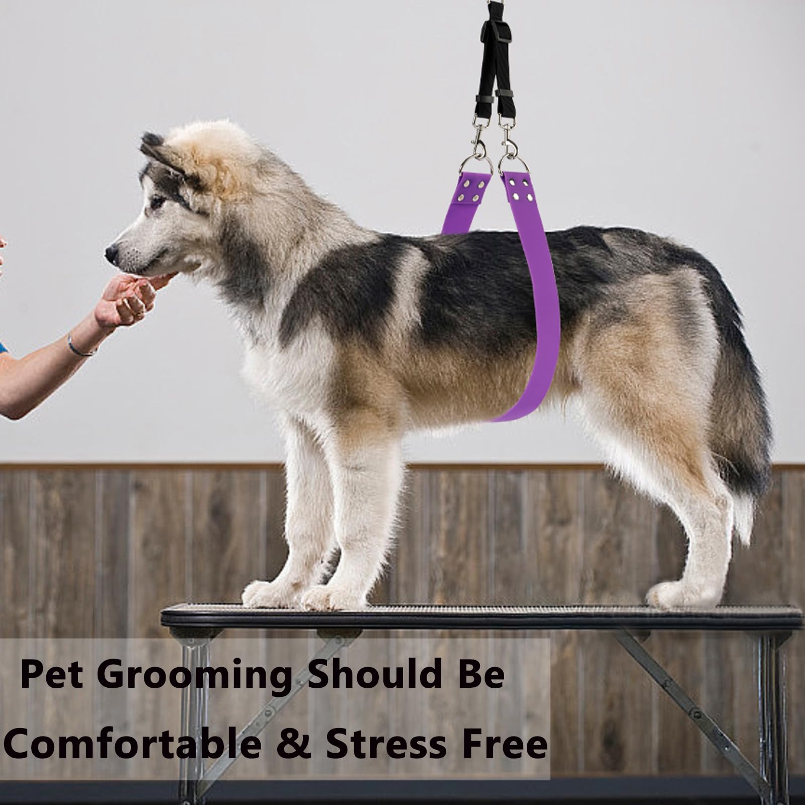 Pet Dog Grooming Belly Straps - Pet Dog Grooming Loops 2 Wide Purple Groomer Belly Support Band Waterproof Strong Pvc Belly Lo