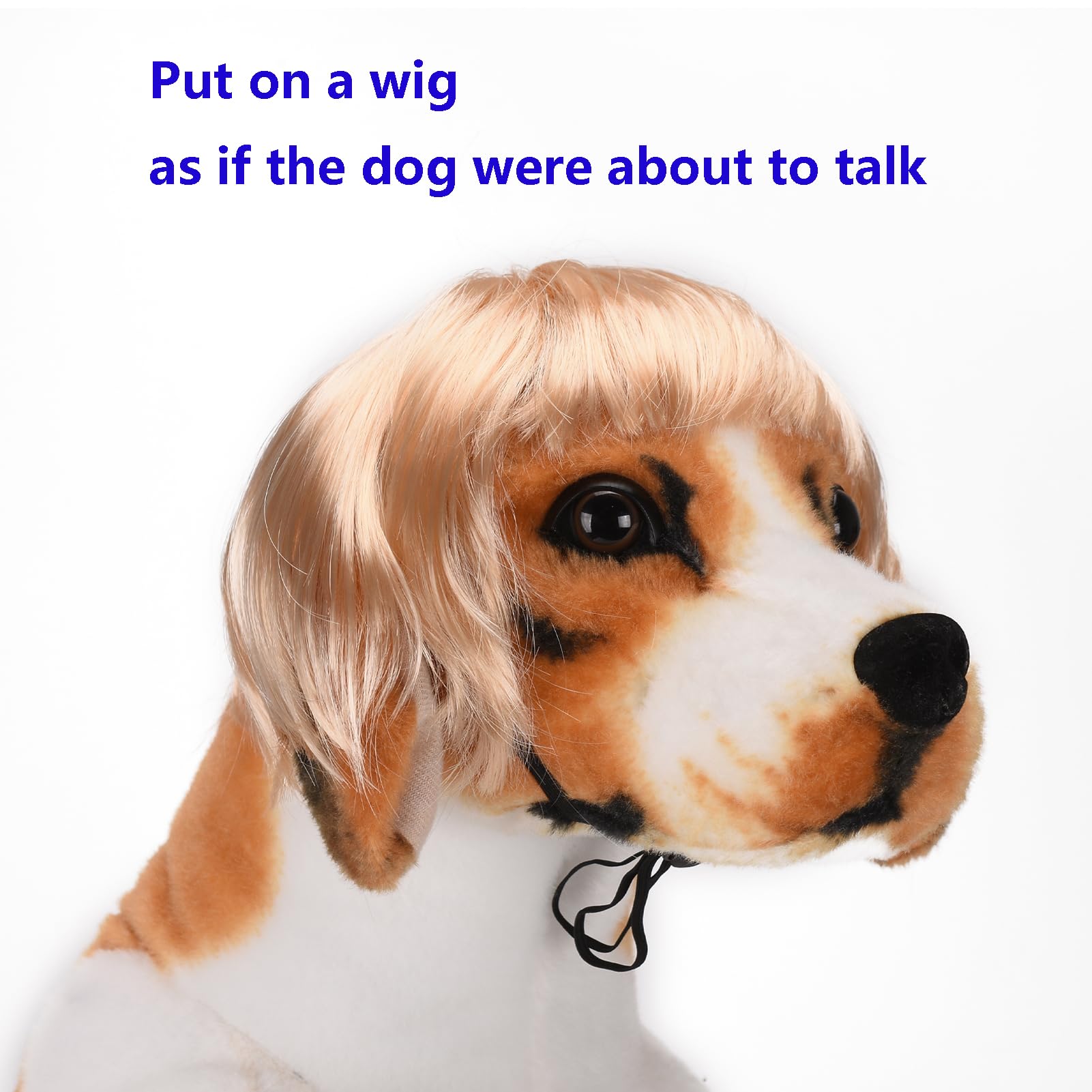 Funny Cosplay Wig For Dog, Headwear Apparel, Pet Costumes, Cat Dress Up For Halloween, Christmas, Parties, Festivals (Golden Str