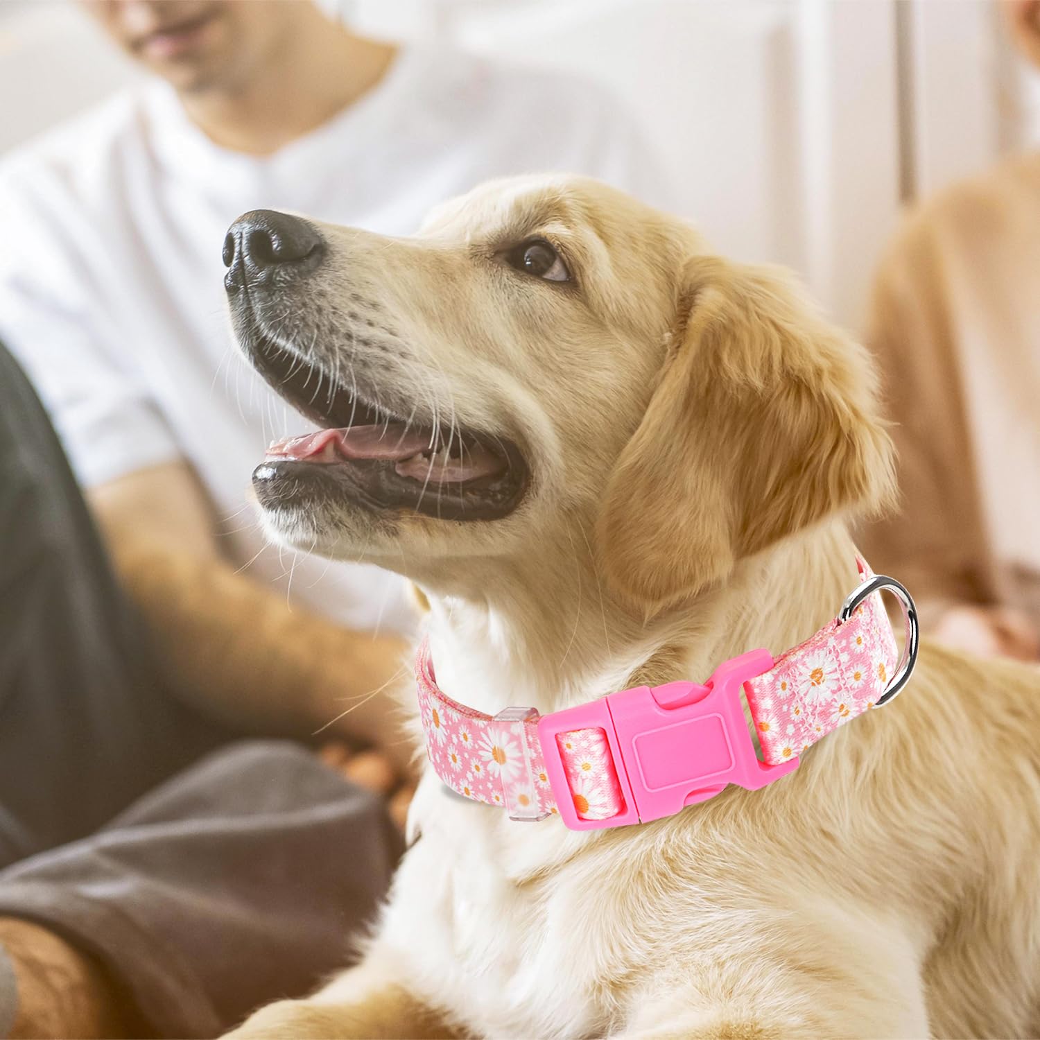 Pink Dog Collars For Medium Dogs, Girl Dog Collars With Hot Daisy Flowers, Adjustable Comfy Soft Pet Collar With Safety Buckle F