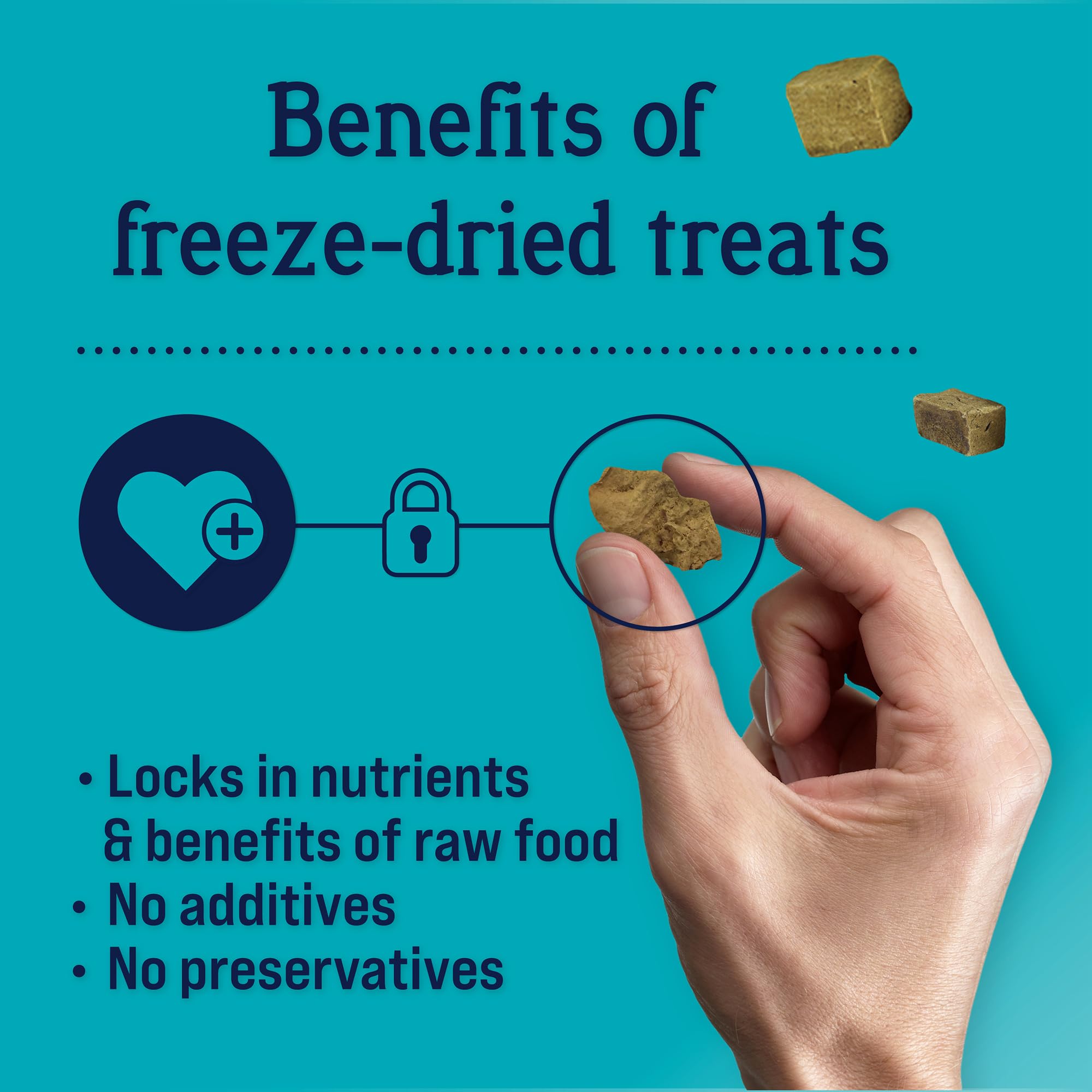 Stewart Single Ingredient Freeze Dried Raw Dog Treats, Chicken Liver, 16 Ounce Value Size, up to 300 Pieces per Resealable Pouch
