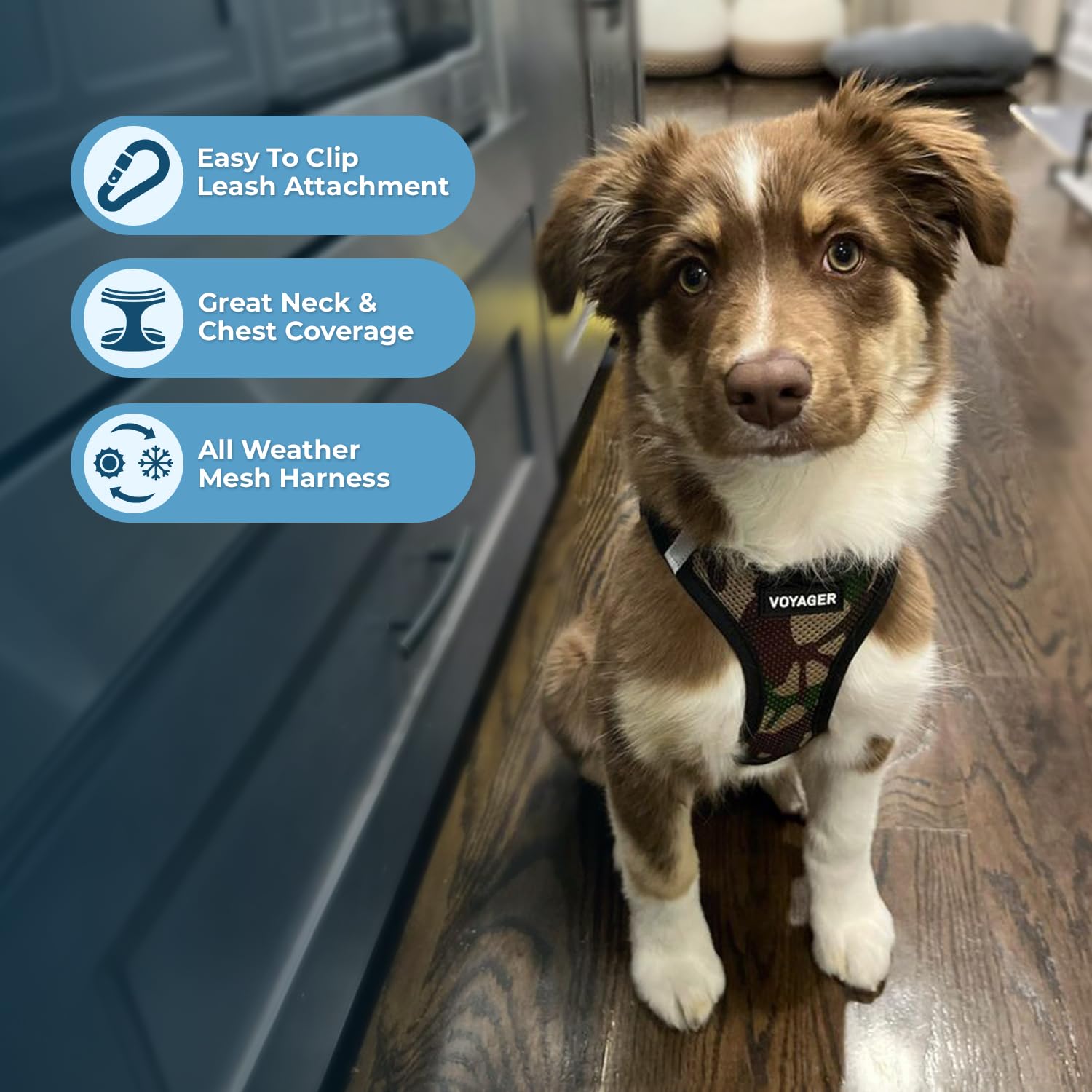 Voyager Step-In Air Dog Harness - All Weather Mesh, Reflective, No Pull Harness For Small, Medium Dogs, Cats - Secure With Hook & Loop Fastener, Buckle, Double D-Rings - Army/Black Trim, S