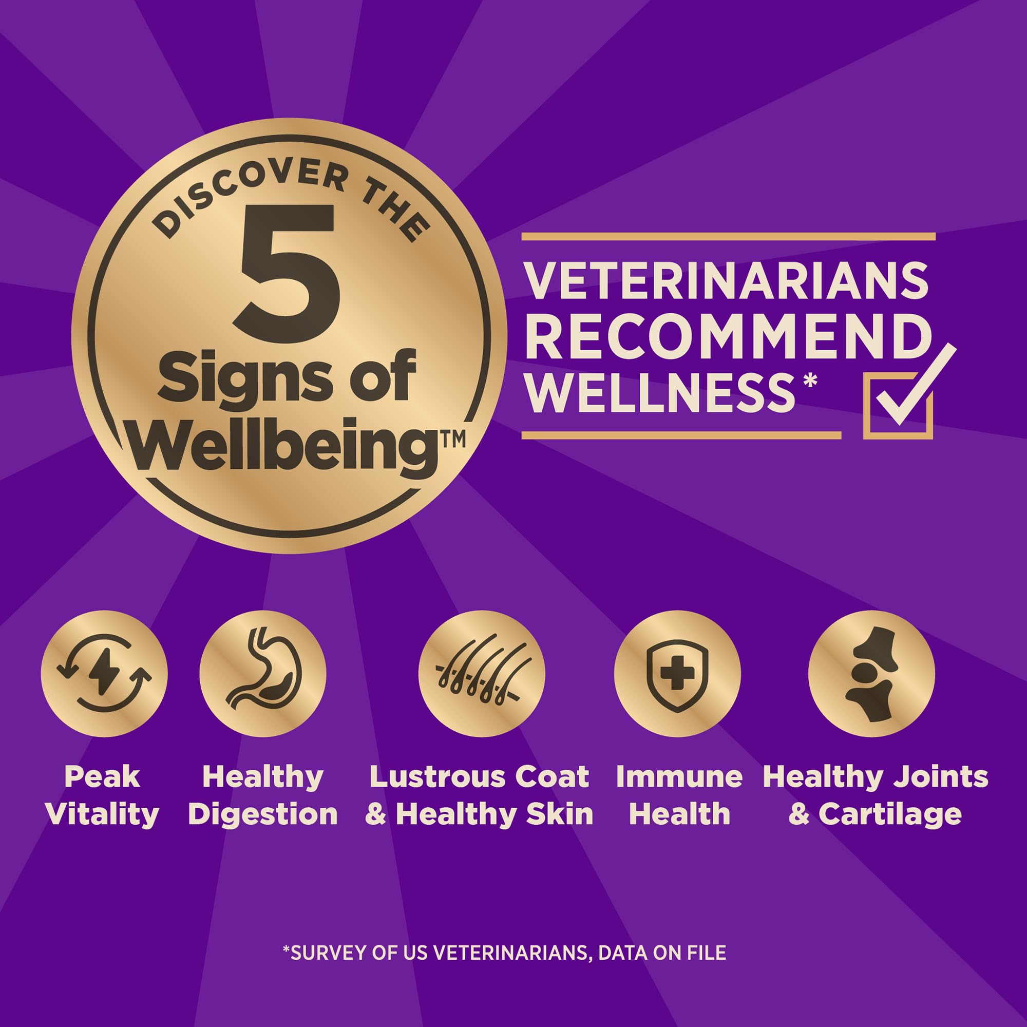 Wellness CORE Grain-Free High-Protein Dry Dog Food, Natural Ingredients, Made in USA with Real Meat, All Breeds, For Adult Dogs
