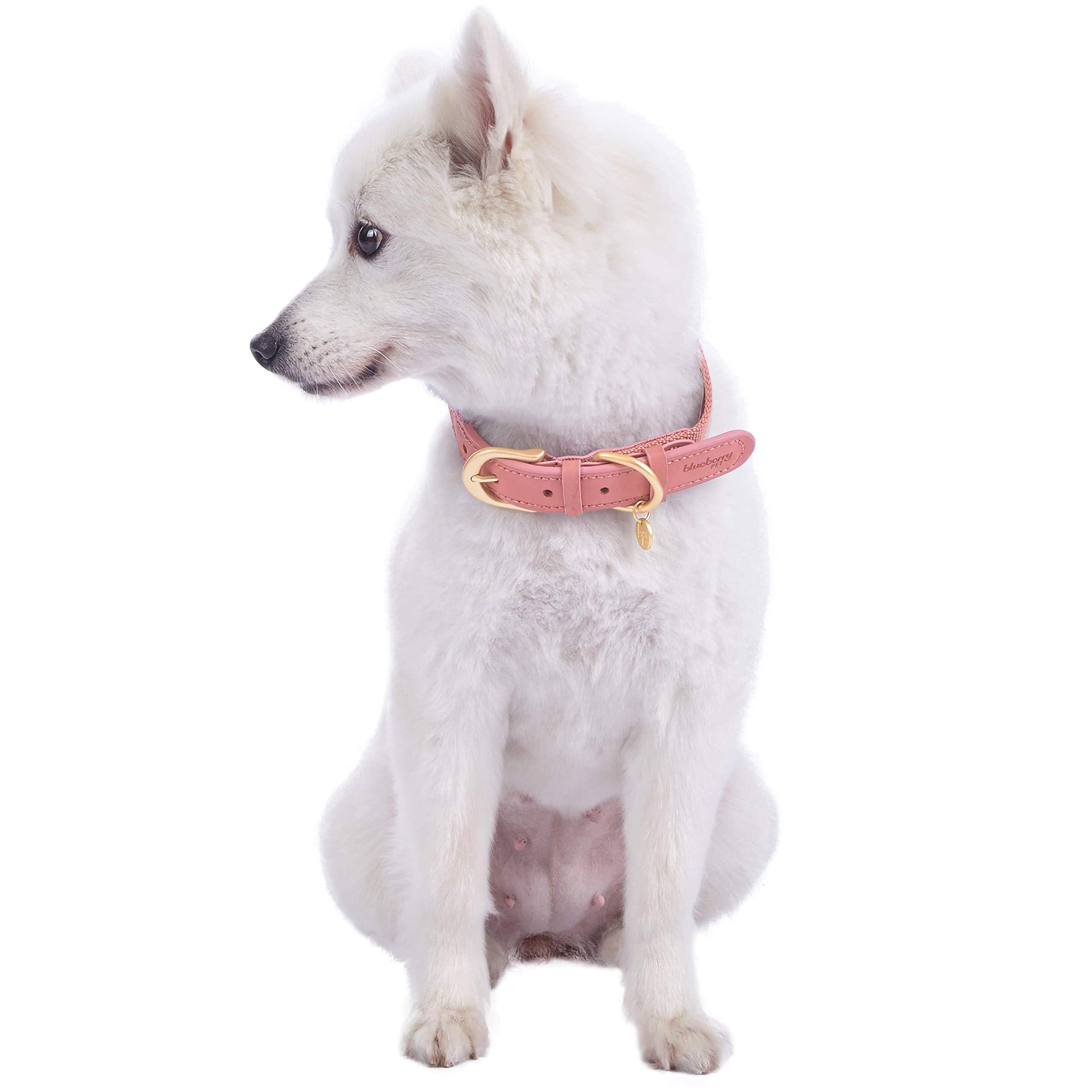 Blueberry Pet Soft & Comfy Genuine Full Grain Leather & Polyester Combo Adjustable Dog Collar - Classic Staple Striped In Pink A