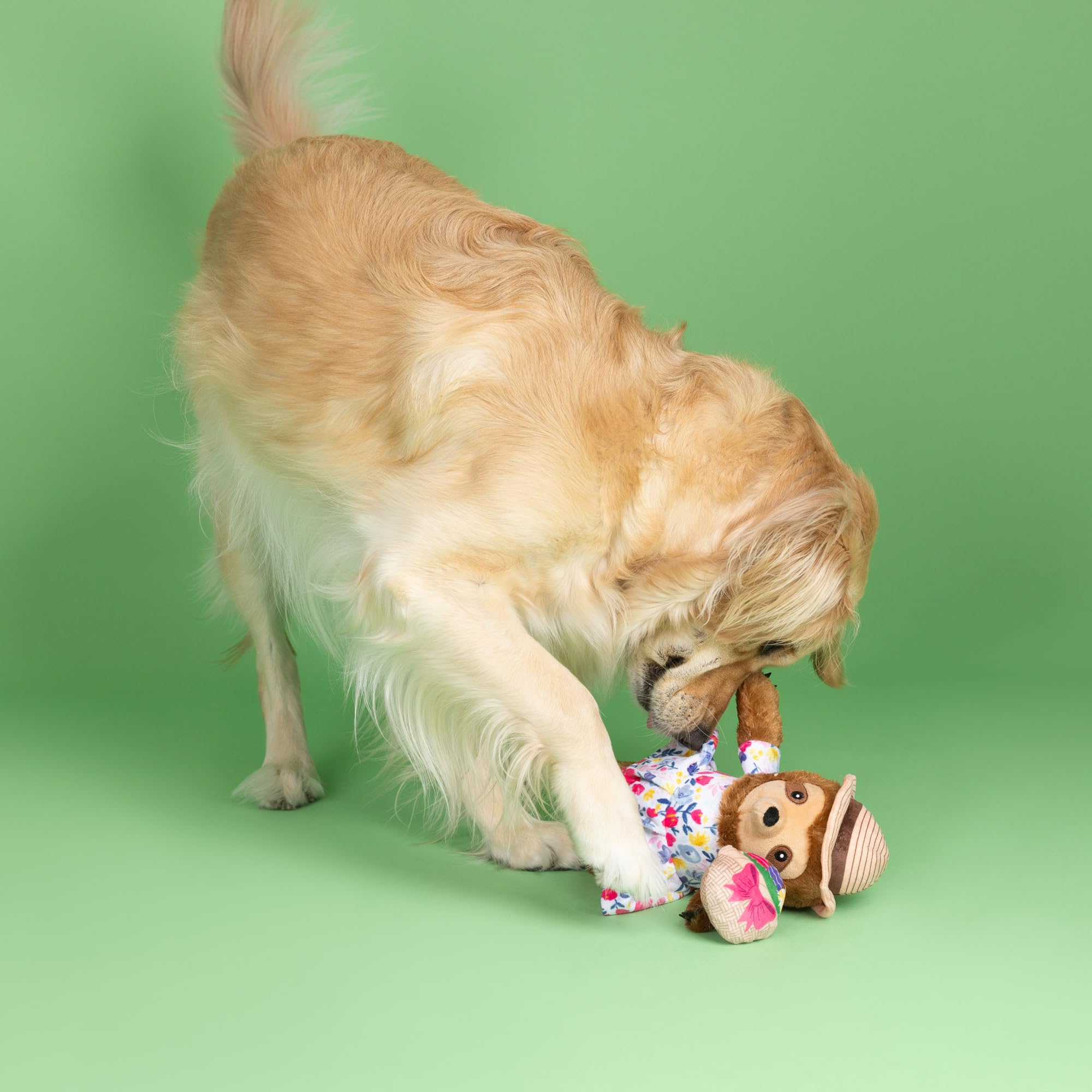 Fringe Studio Plush Dog Toy, SundayS Best, Petshop Collection (314317)
