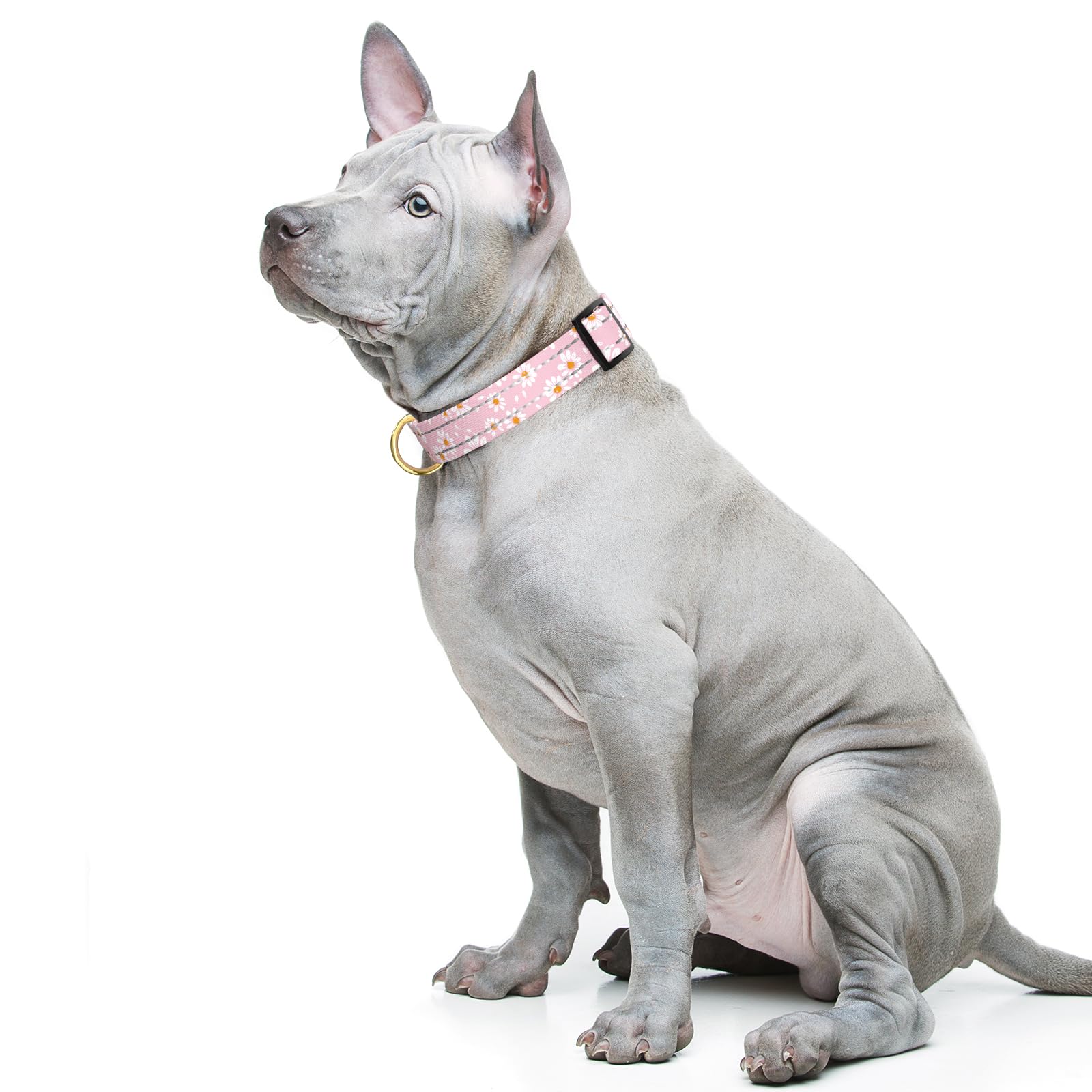 Tmoodel Reflective Dog Collar For Medium Dogs, Cute Daisy Theme Adjustable Heavy-Duty Nylon Puppy Collar For Boy And Girl Female
