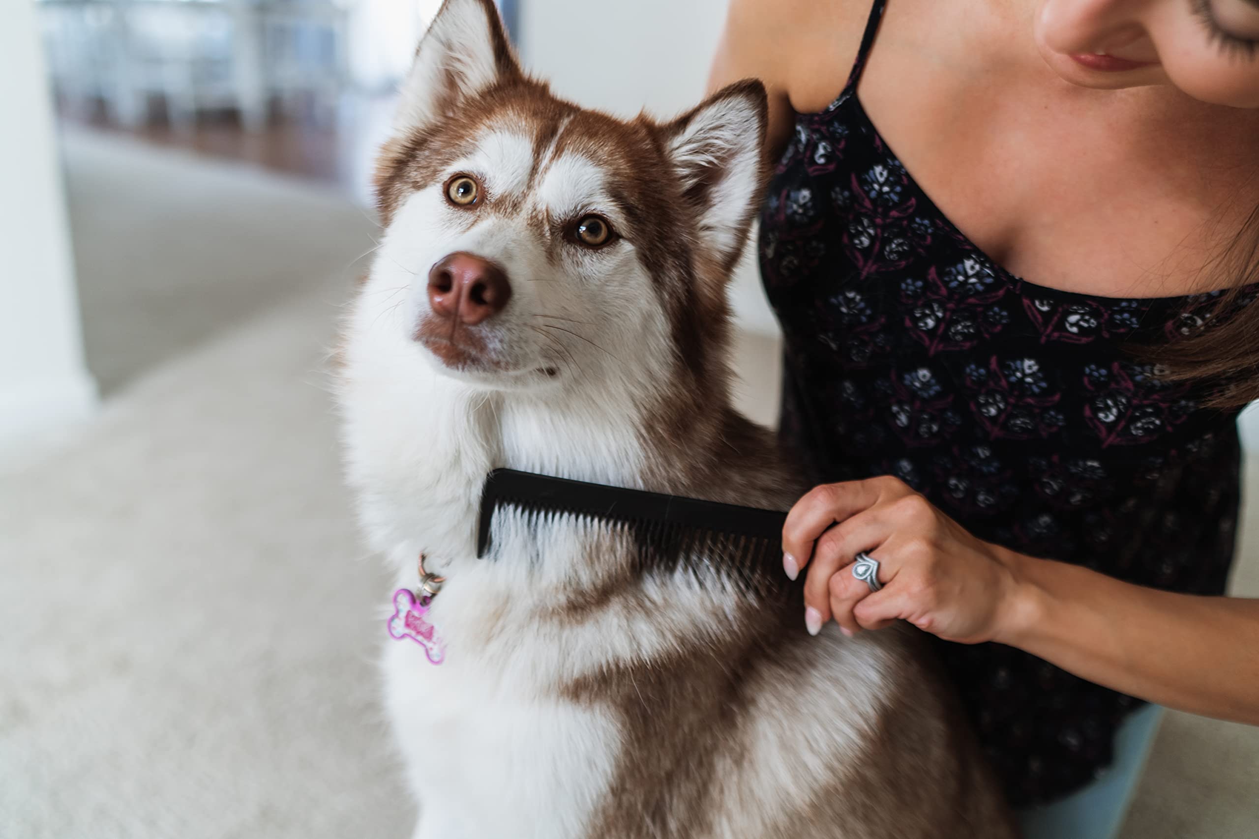 Chicago Comb No. 9 Pet, The Xl Comb For Man Or Beast, Carbon Fiber, Made In Usa