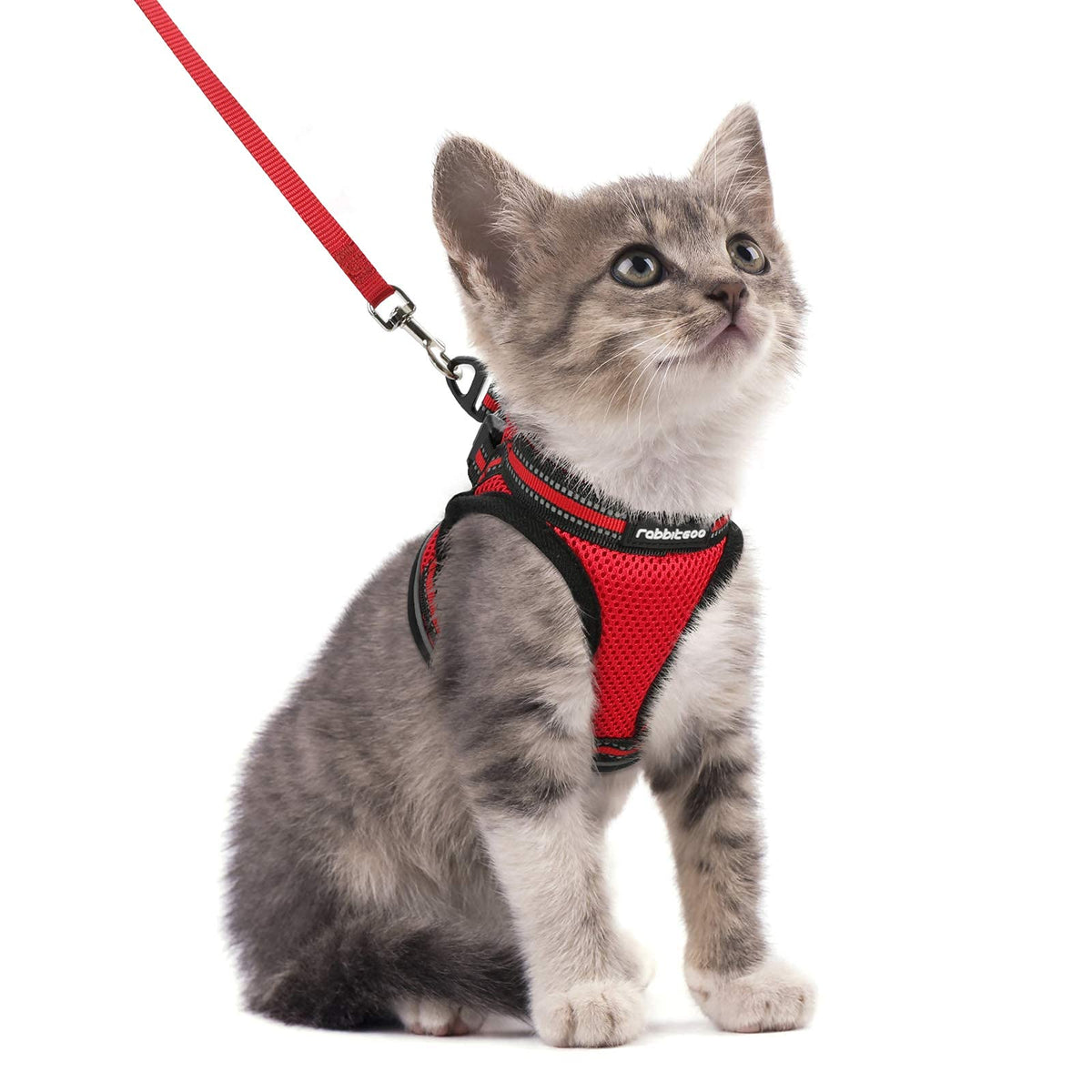 Rabbitgoo Cat Harness And Leash Set For Walking Escape Proof, Adjustable Soft Kittens Vest With Reflective Strip For Cats, Comfortable Outdoor Vest, Red, S