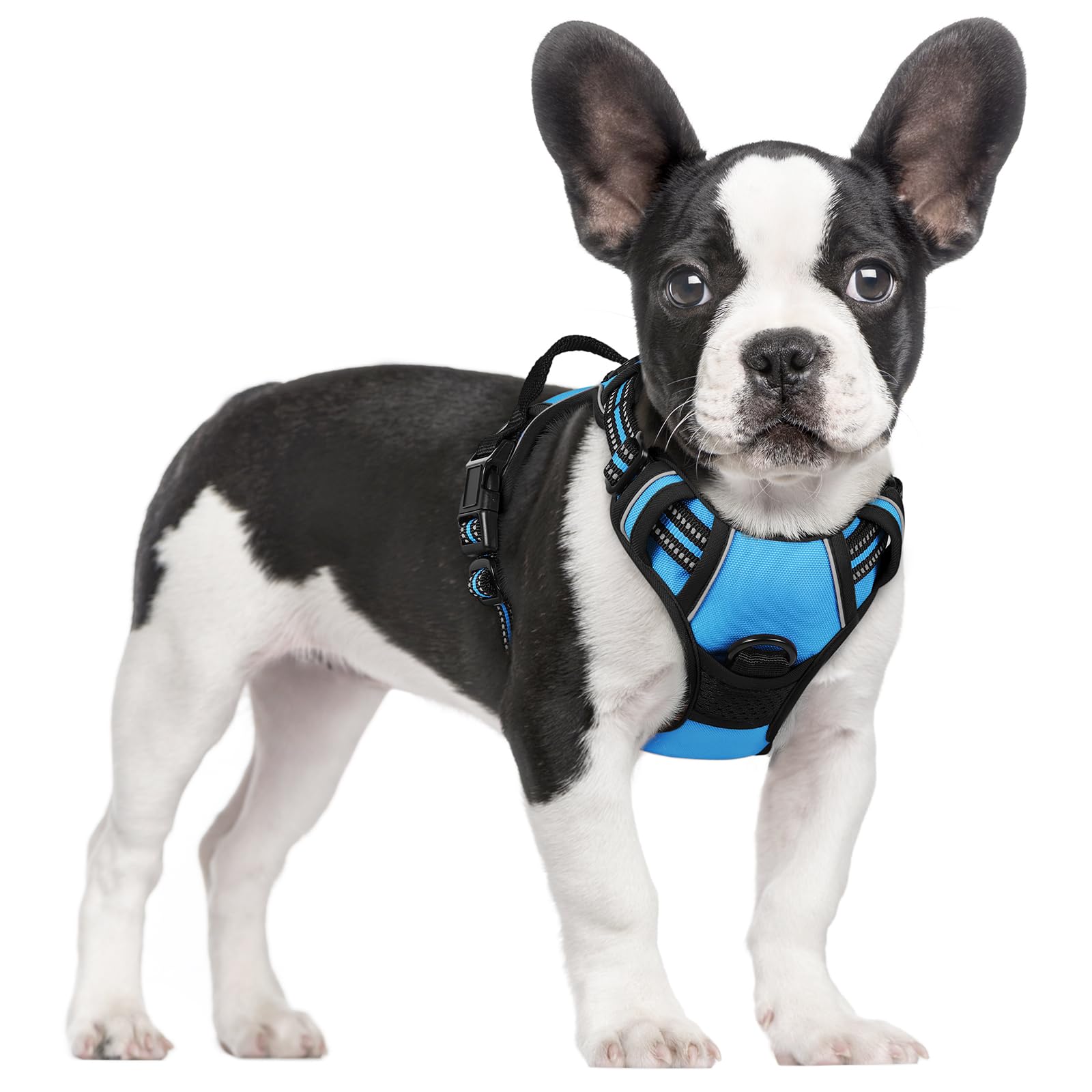 Rabbitgoo Dog Harness, No-Pull Pet Harness With 2 Leash Clips, Adjustable Soft Padded Dog Vest, Reflective No-Choke Pet Oxford Vest With Easy Control Handle For Small Dogs, Blue, S