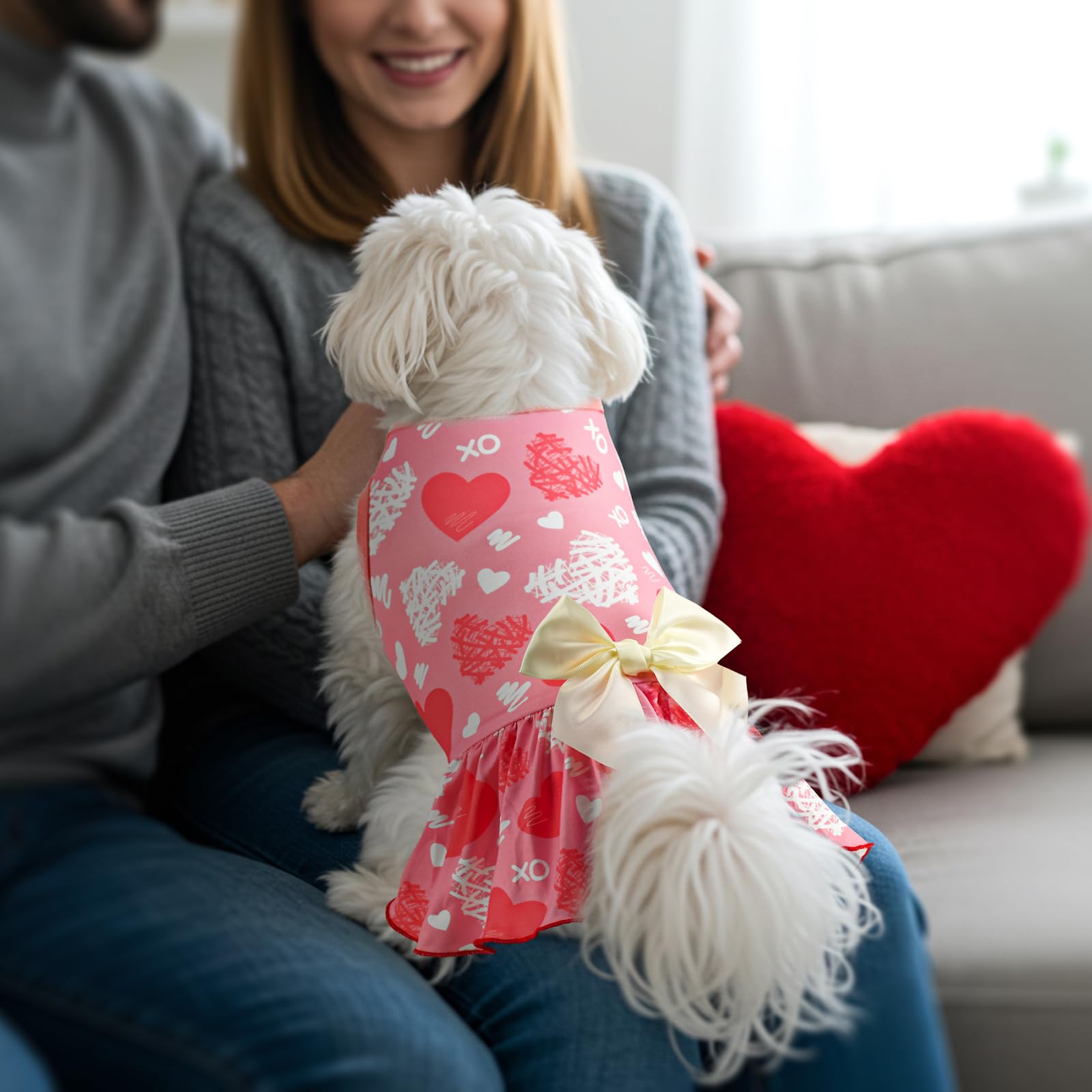 Vehomy 2-Pack Valentine'S Day Dog Cat Dress Love Heart Dog Dresses Puppy Valentines Day Skirt Dog Pet Valentines Day Costume Out