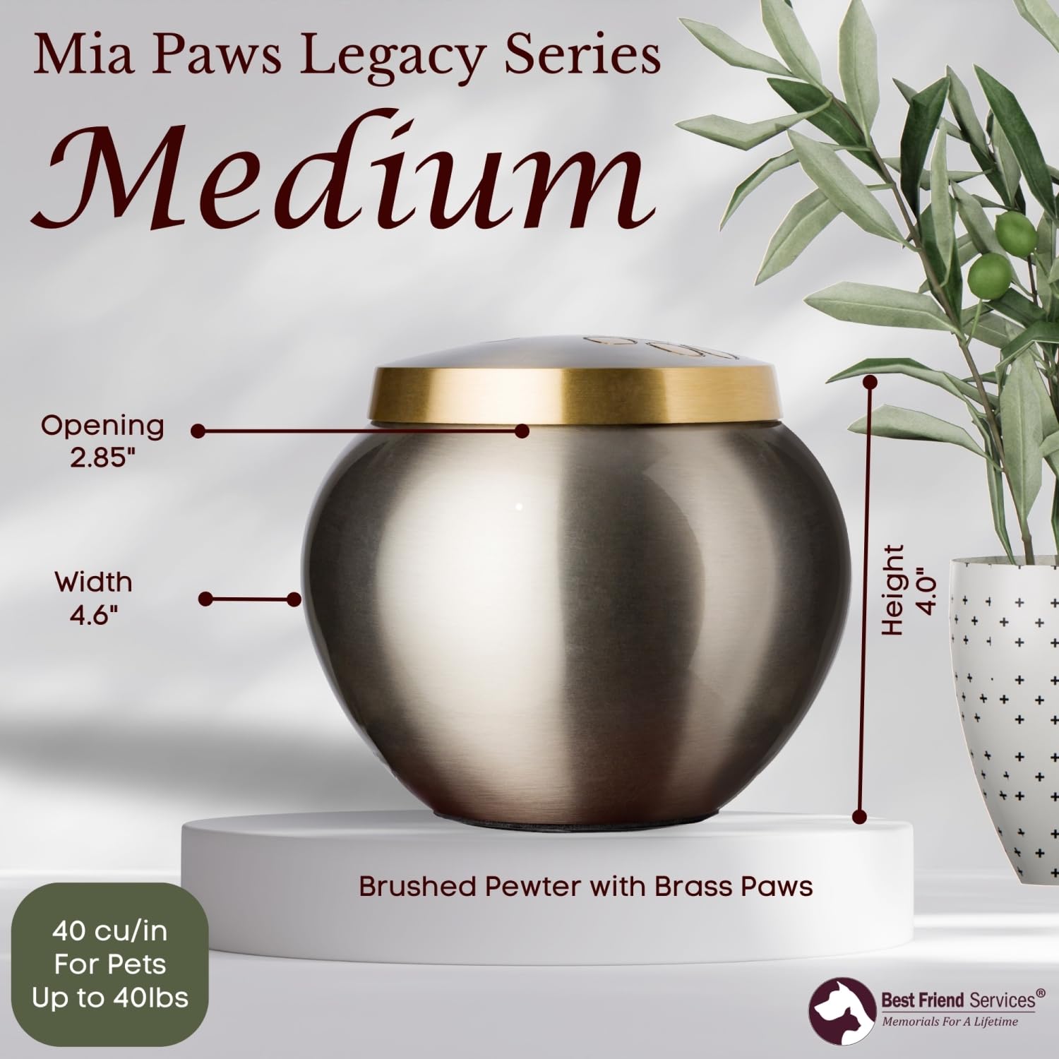 Best Friend Services Pet Urn - Memorial Cremation Pet Urns For Dog And Cat Ashes, Hand Carved Mia Series Urn For Pets Up To 40Lb