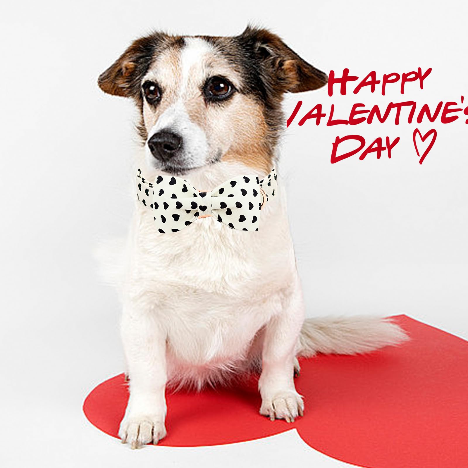 Lionheart Glory Dog Bow Collar Valentine'S Day Dog Collar For Medium Dogs Hearts Print Dog Collar With Bowtie Spring Dog Collars