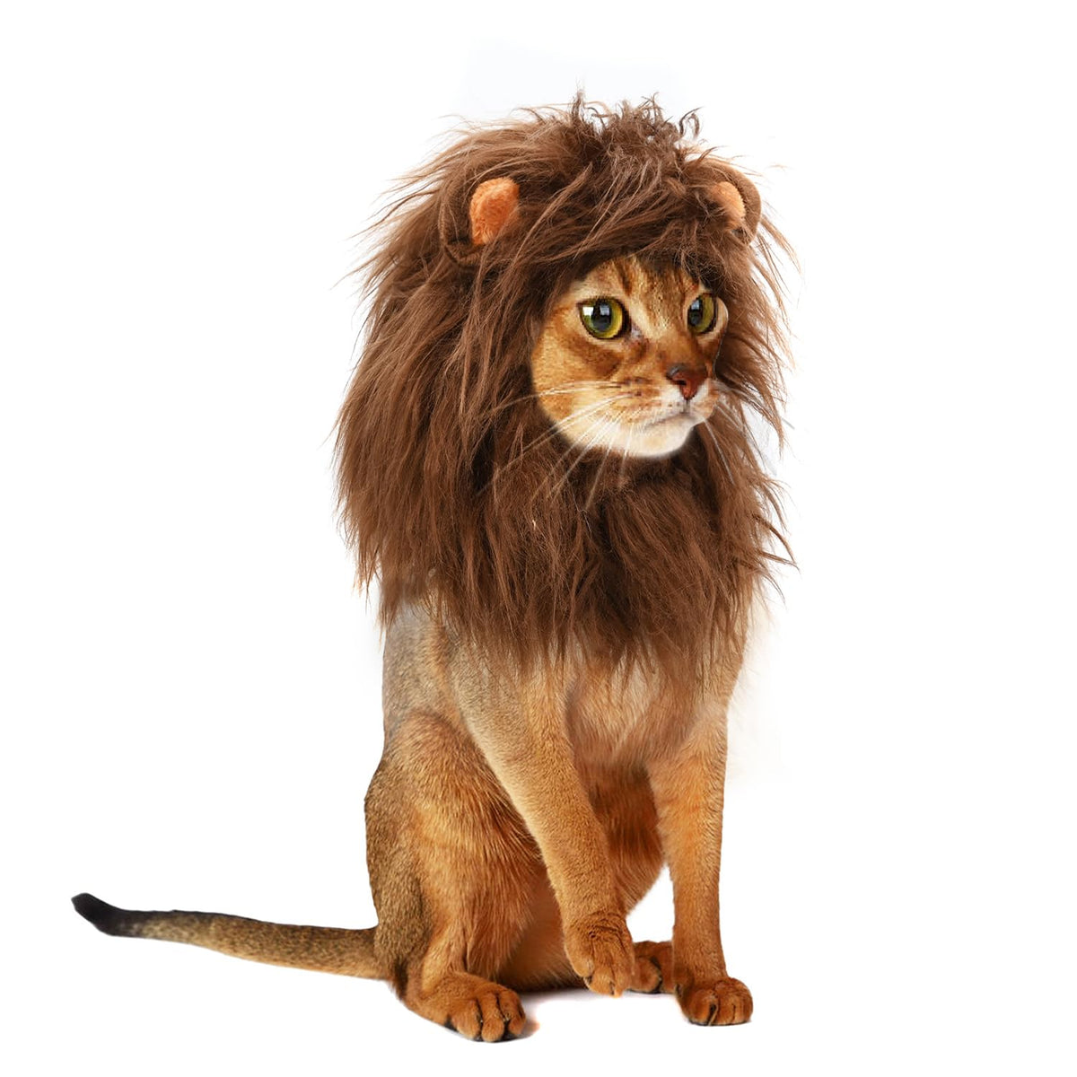 Onmygogo Lion Mane Wig For Cats And Dogs, Funny Pet Cat Costumes For Halloween Christmas, Furry Pet Clothing Accessories (Size M