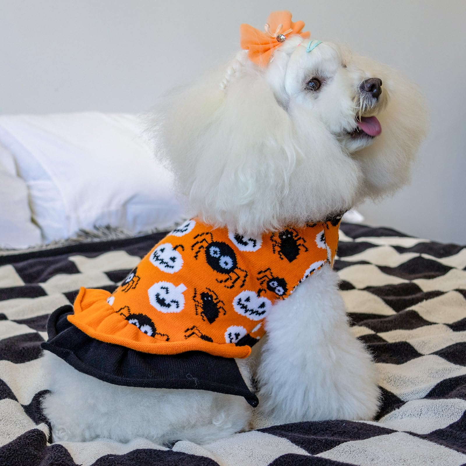 Cutebone Halloween Dog Sweater Dress, Soft And Stretchy Dog Clothes For Small Medium Dogs Girl, Pumpkin Spider Puppy Sweater Pullover Ruffle Dress Pet Outfit Cat Apparel
