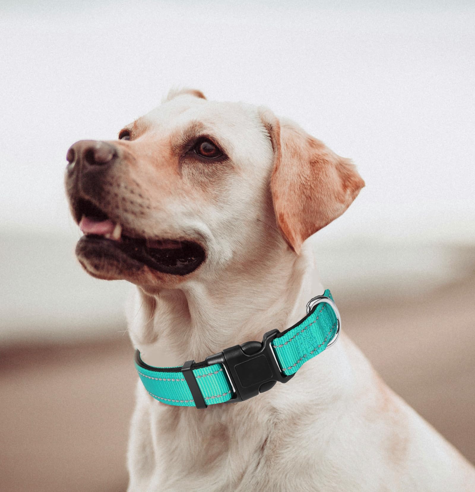 Teal Dog Collar, Reflective Pet Collar with Buckle Adjustable Safety Nylon Collars for Small Medium Large Dogs